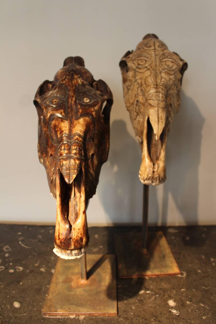 Bone Pair of 19th Century Carved Horses Skulls