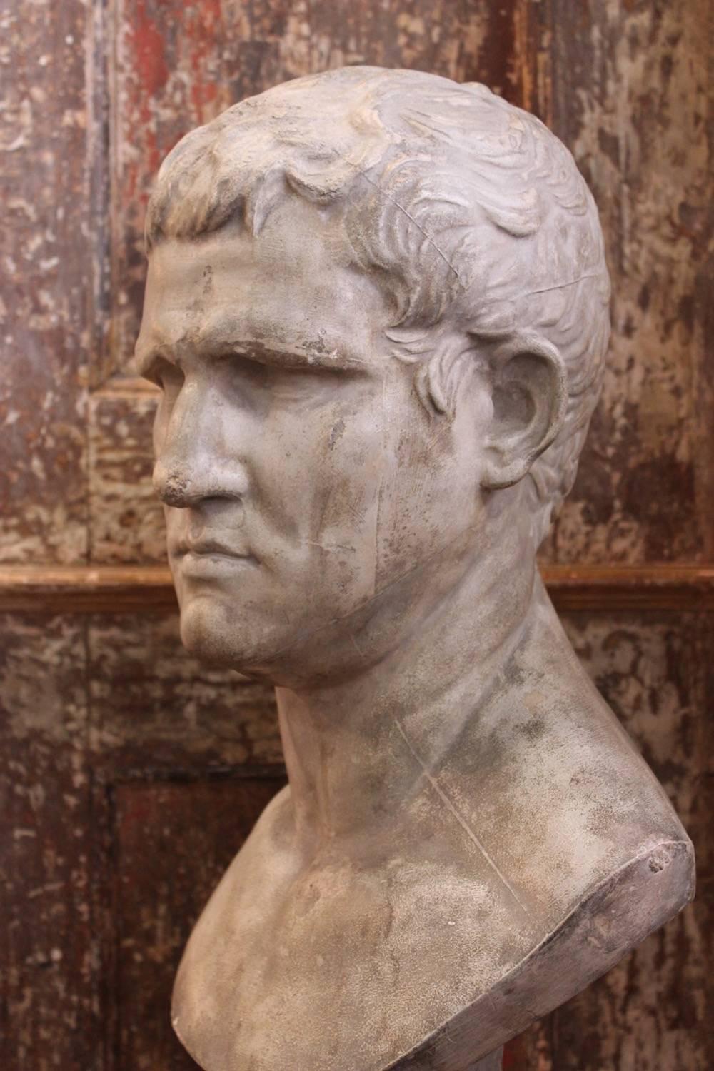 Antique Plaster Classical Bust of Agrippa In Excellent Condition In Gloucestershire, GB