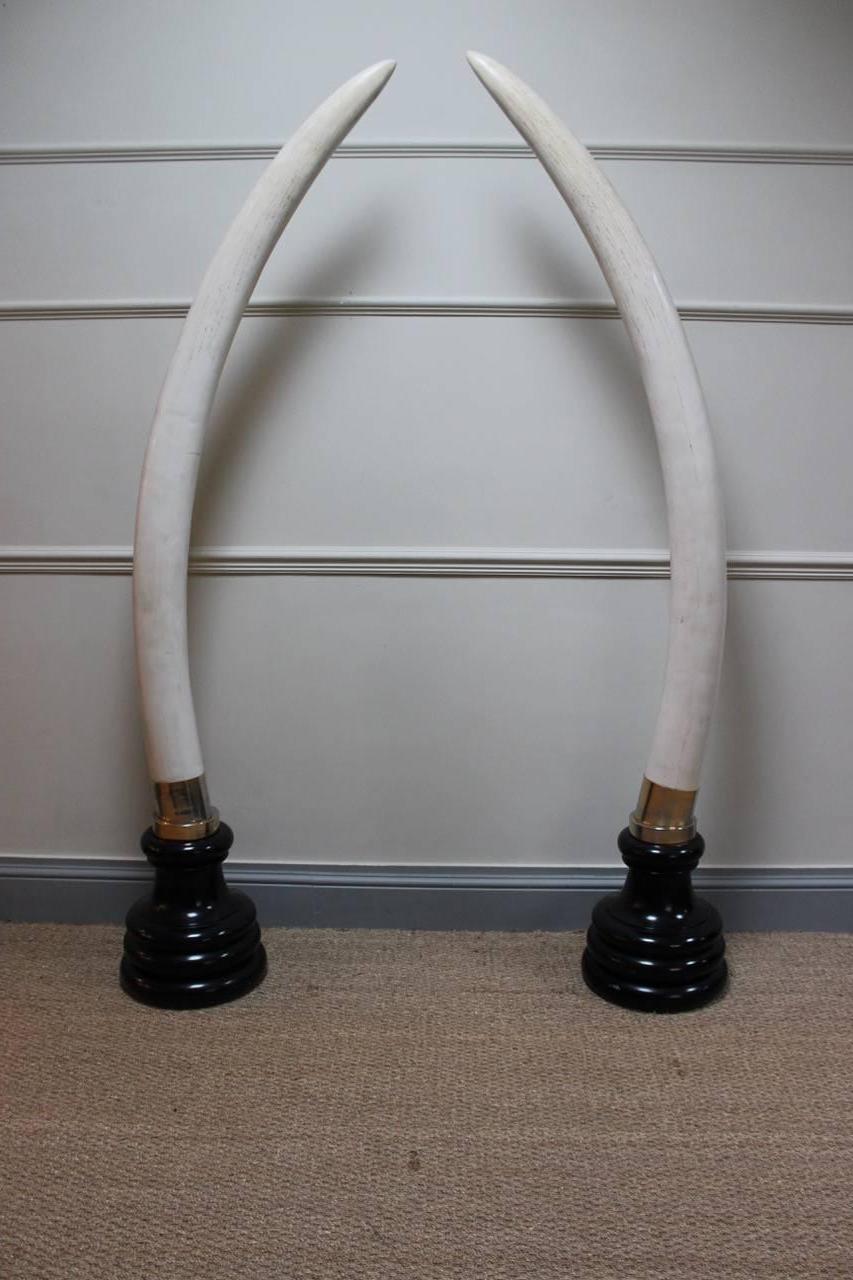 A superb and very large pair of mid-20th century faux elephant mounted tusks that will make a statement in most settings.
 