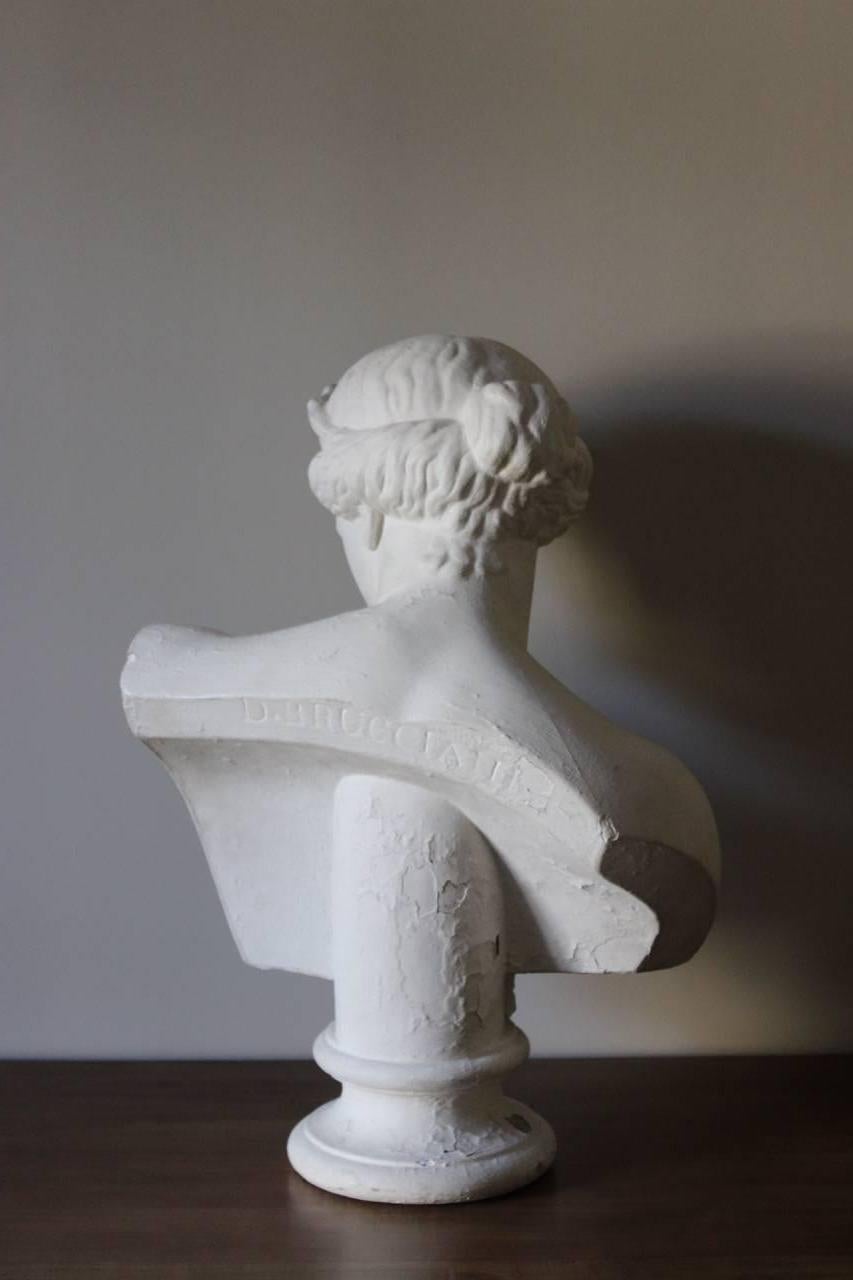 Classical Greek Large 19th Century Plaster Bust by D.Brucciani