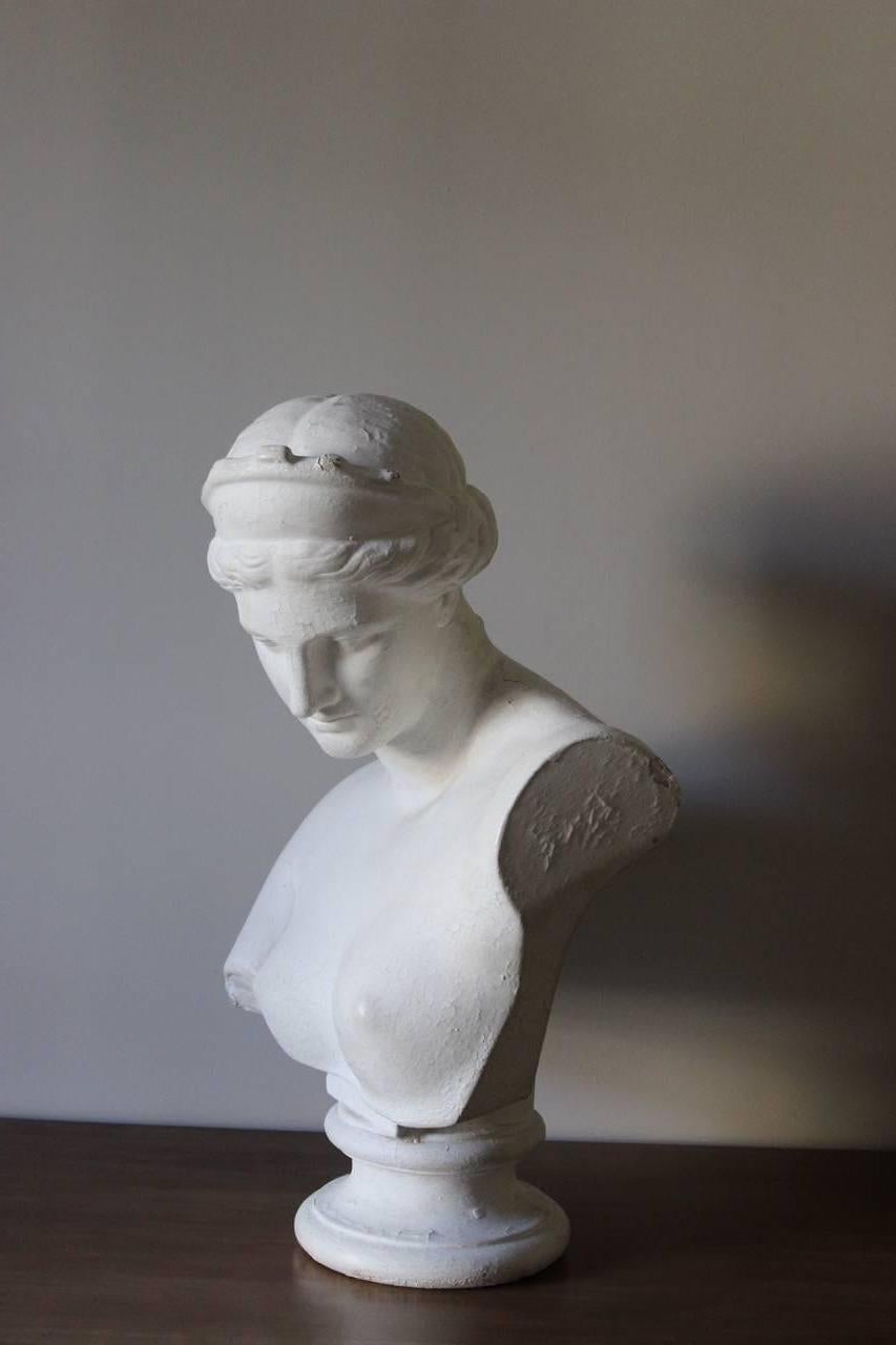 Painted Large 19th Century Plaster Bust by D.Brucciani