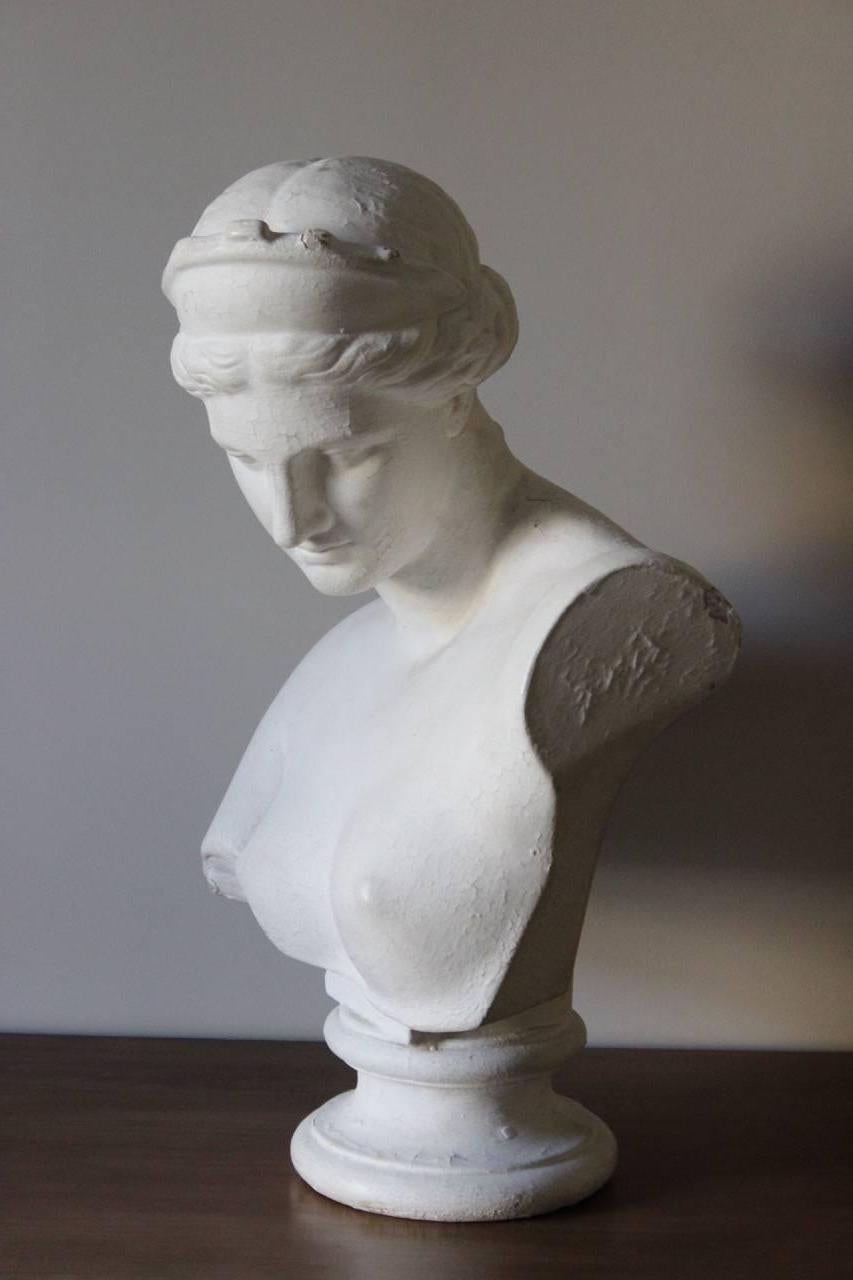 Large 19th Century Plaster Bust by D.Brucciani In Good Condition In Gloucestershire, GB