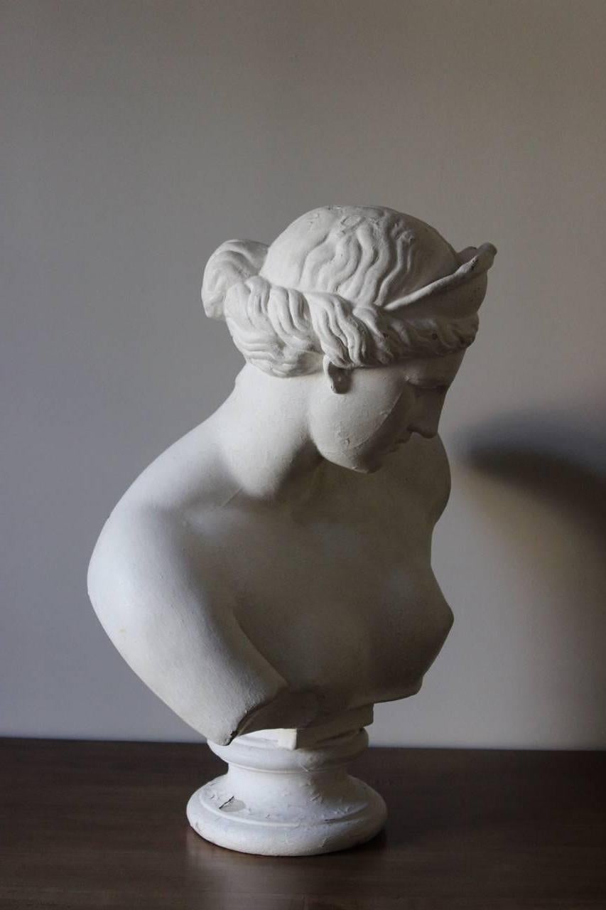 A good and large 19th century Classical plaster female bust, impressed D. BRUCCIANI, that would make a statement in most settings. 

Domenicho (Domenico) Brucciani (1815 -1880) was born in Lucca, Italy and migrated to England in the first half of