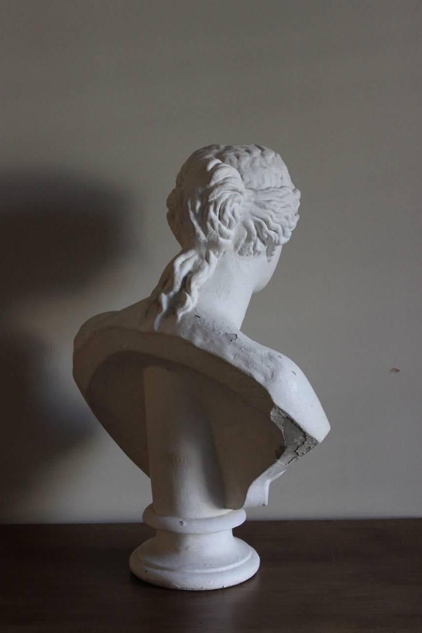 Large Classical Plaster Bust by D. Brucianni In Good Condition In Gloucestershire, GB