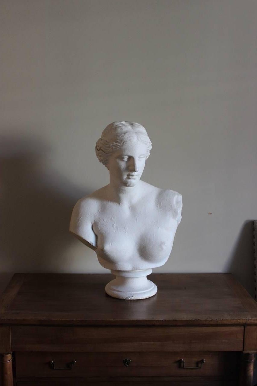 An antique painted plaster classical female bust of large proportions. 

Domenicho (Domenico) Brucciani (1815 -1880) was born in Lucca, Italy and migrated to England in the first half of the nineteenth century. He established a business which