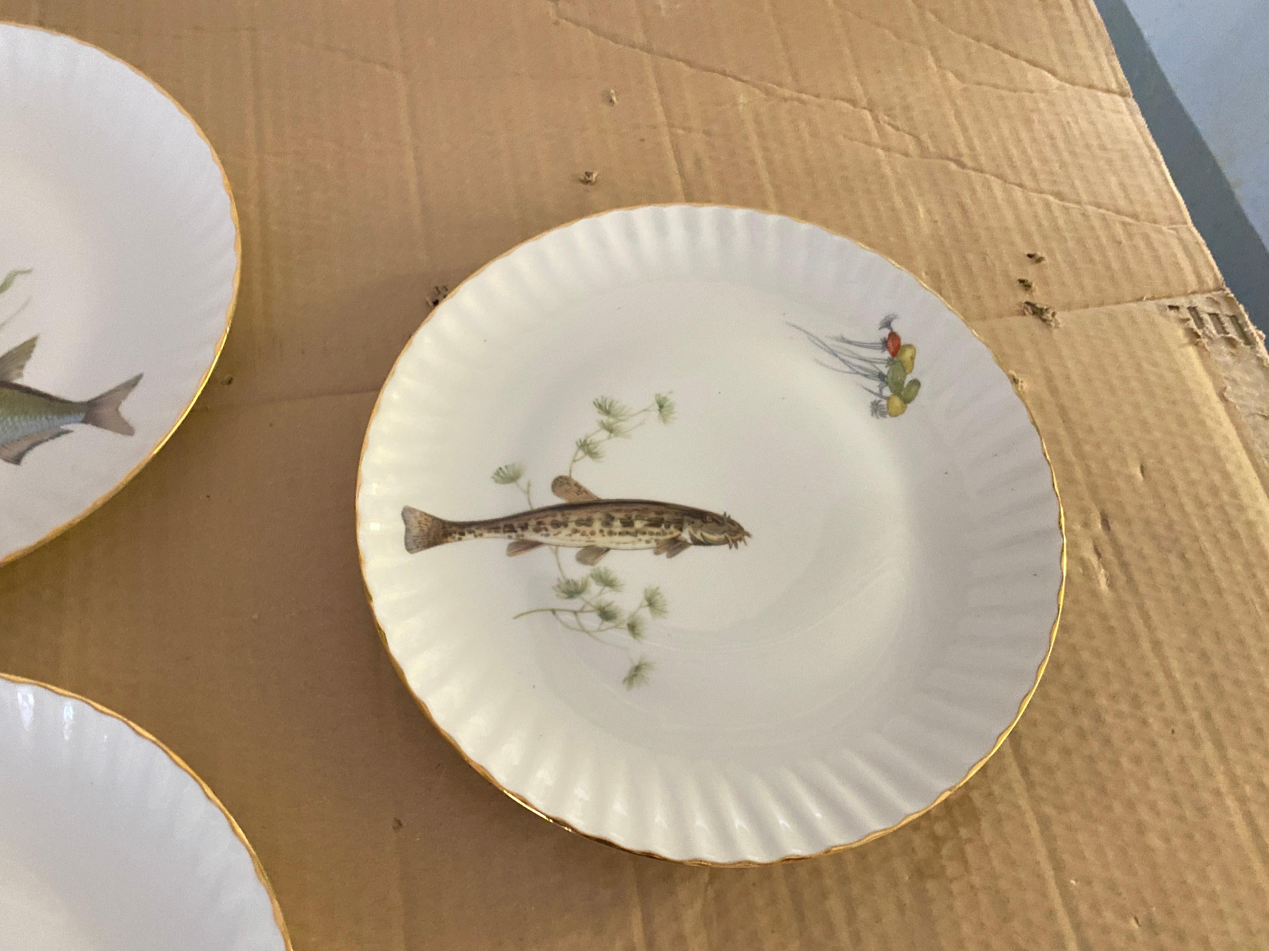 Mid-20th Century Mid-Century Modern Porcelain Fish Plates by Limoges, France