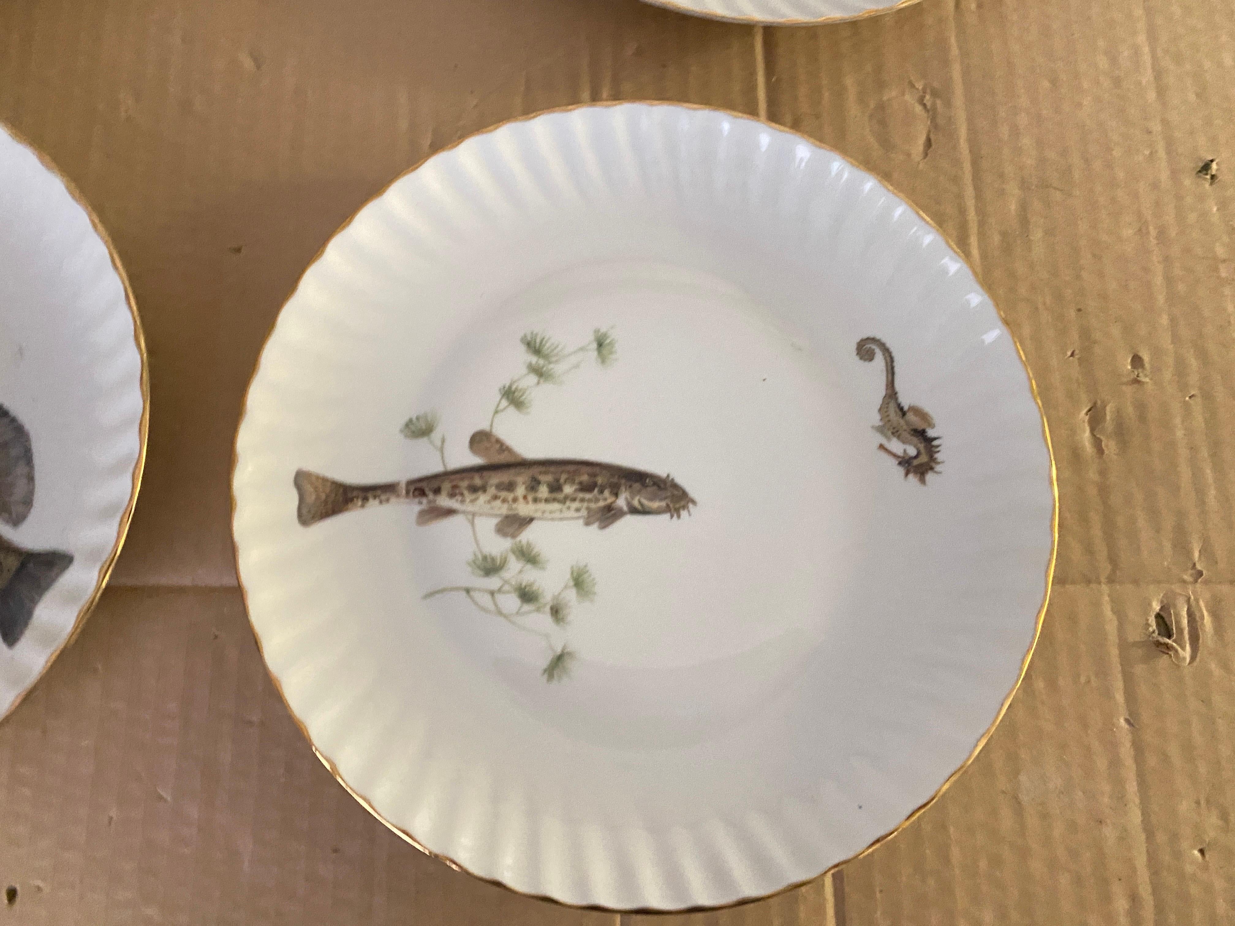 Mid-Century Modern Porcelain Fish Plates by Limoges, France In Good Condition In Auribeau sur Siagne, FR