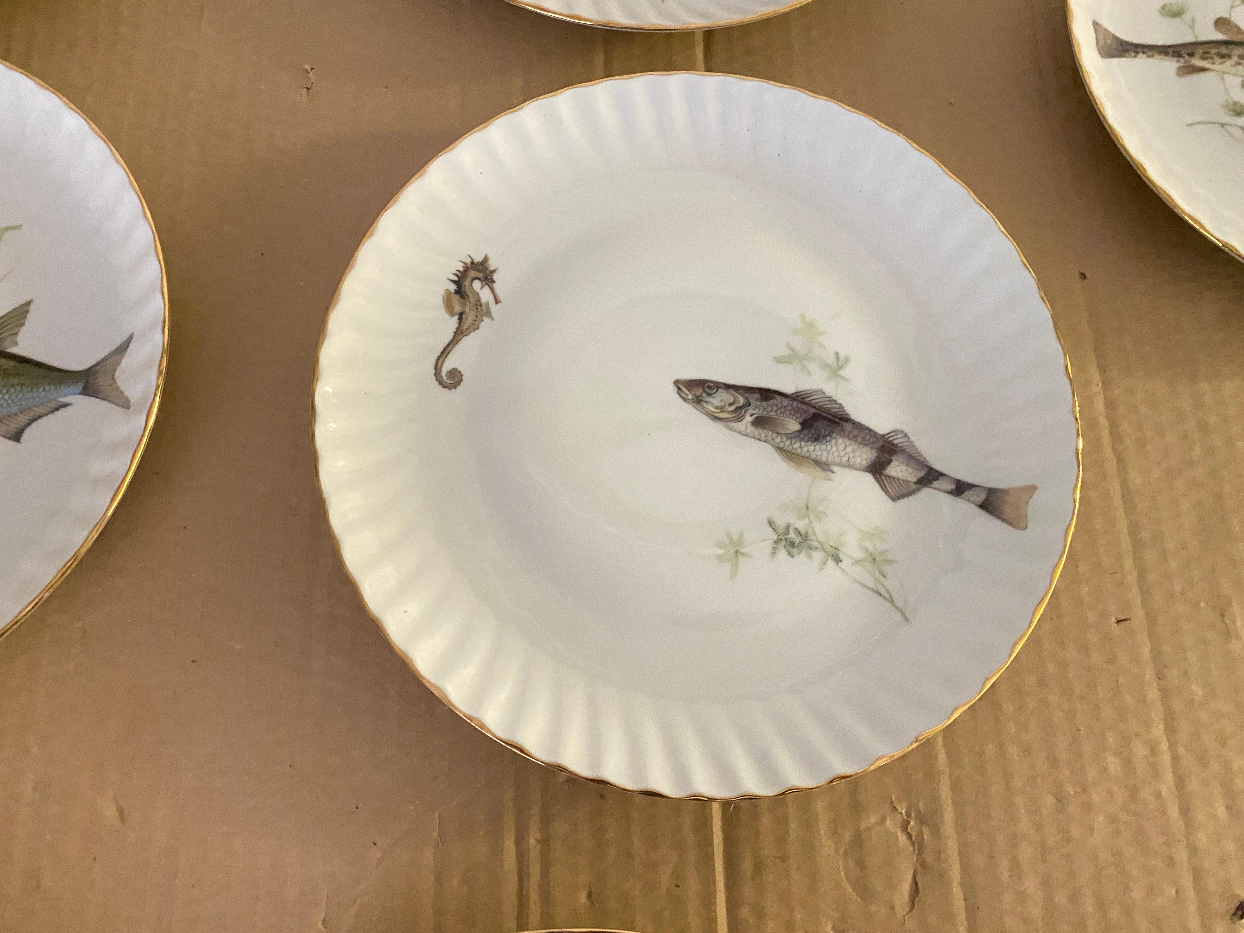 Mid-Century Modern Porcelain Fish Plates by Limoges, France 2