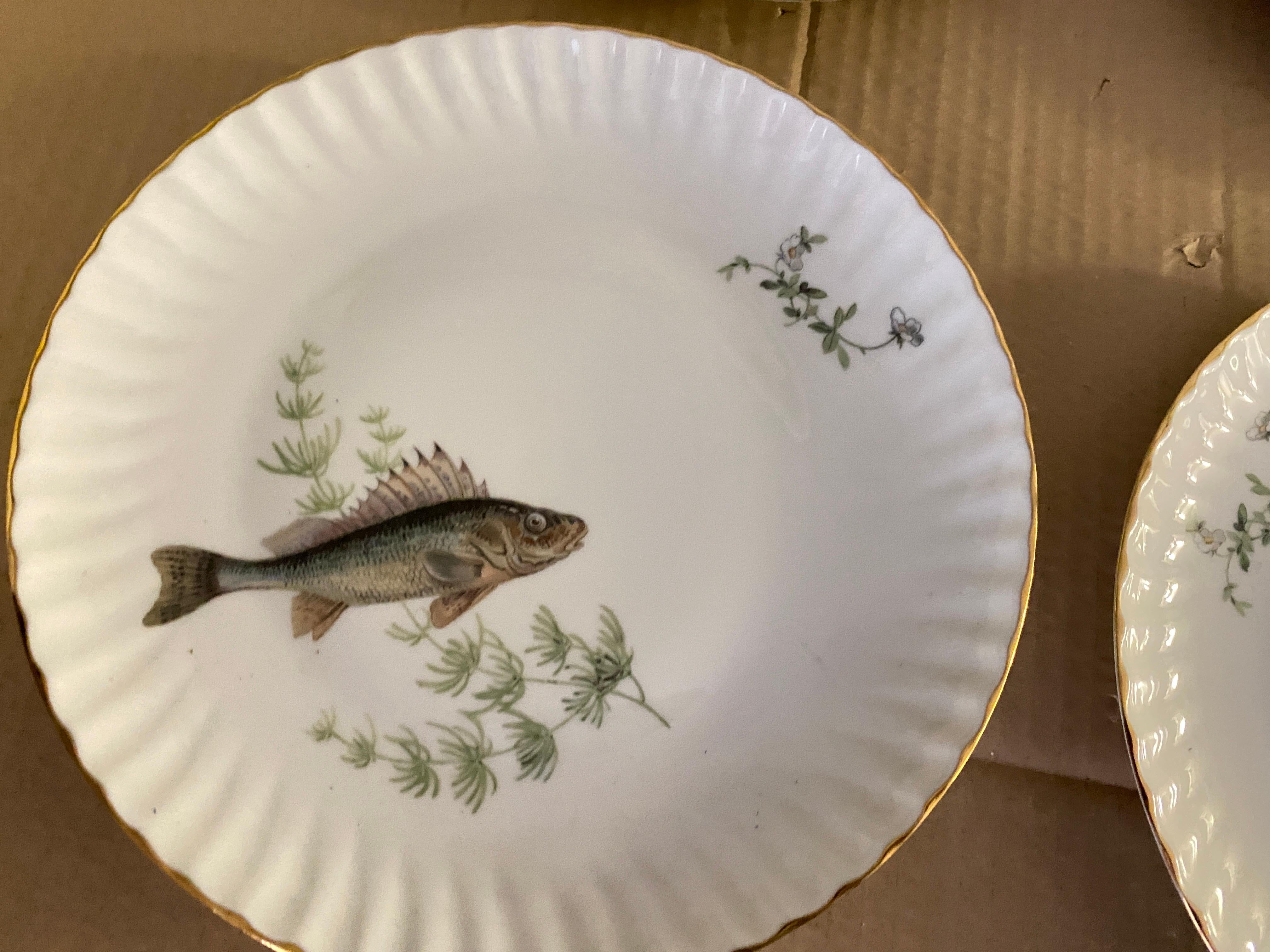 Mid-Century Modern Porcelain Fish Plates by Limoges, France 8