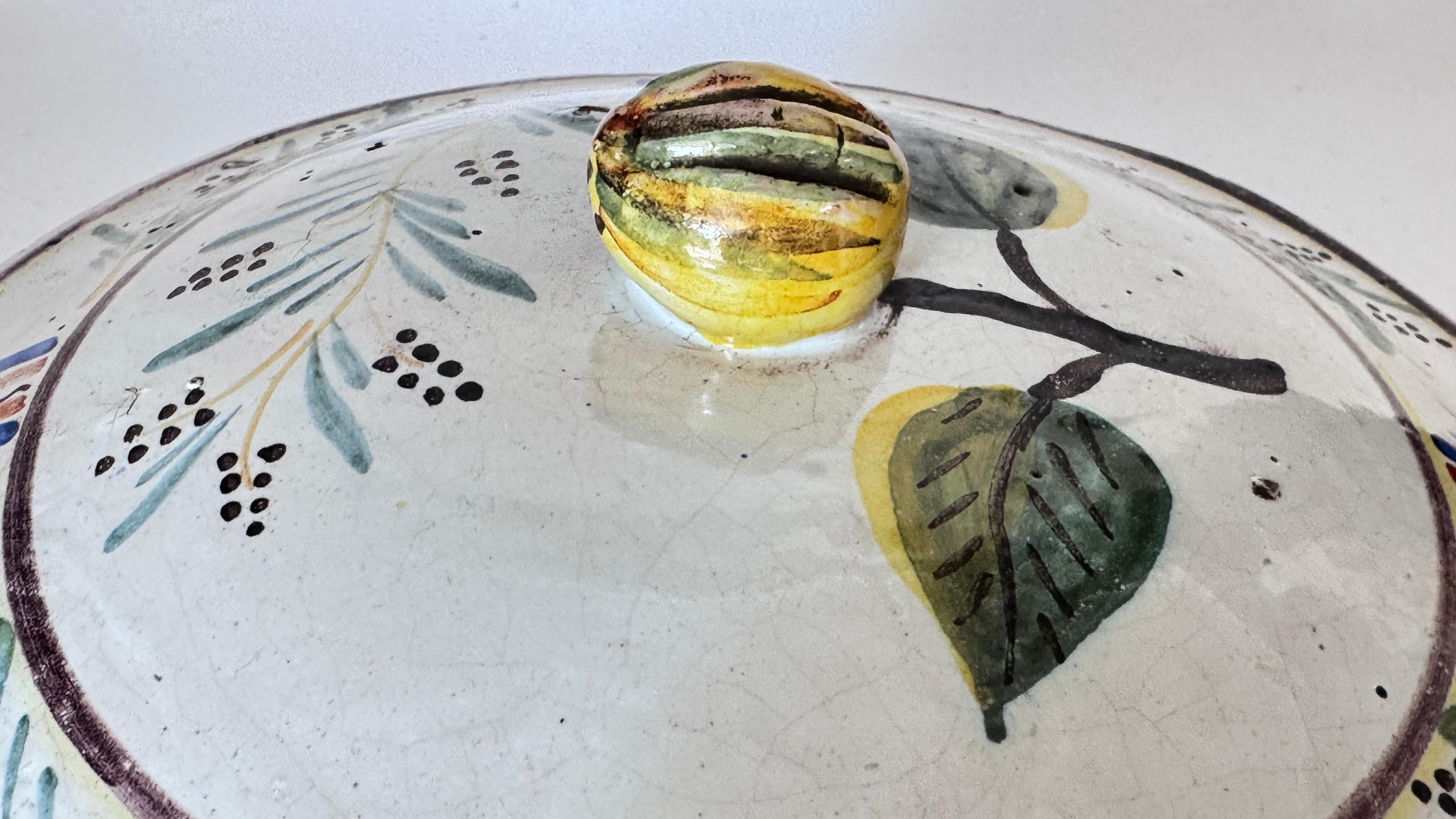 18th Century and Earlier French Hand-Painted Faience Terrine – Rustic Provençal Style – Bird & Botanical For Sale