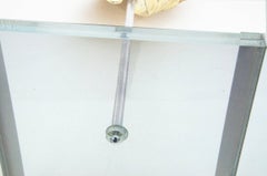 Large Conch Shell Mounted on a Plexiglass Stand