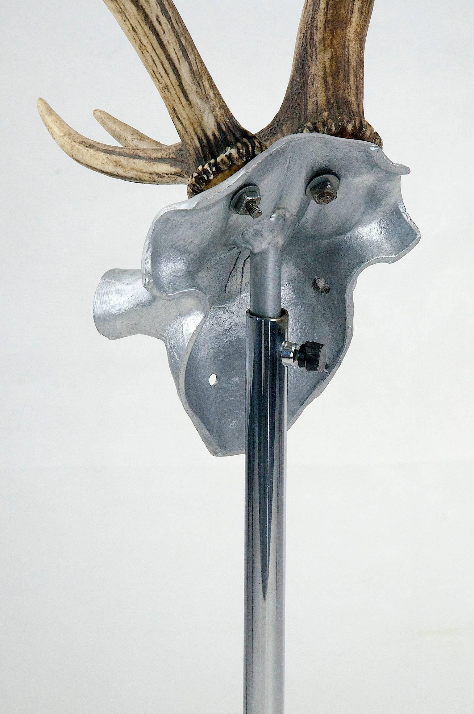 French Rare Sculpted Mid-Century Horns, France