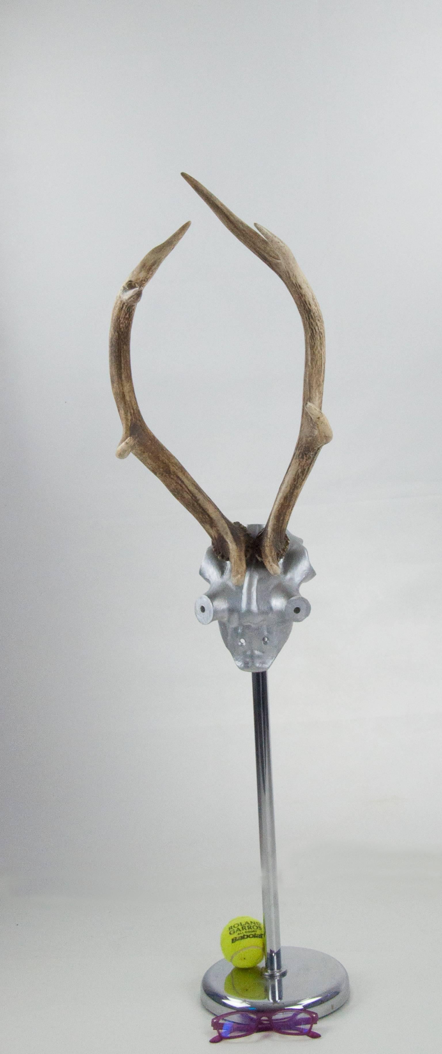 Rare Sculpted Mid-Century Horns, France 2