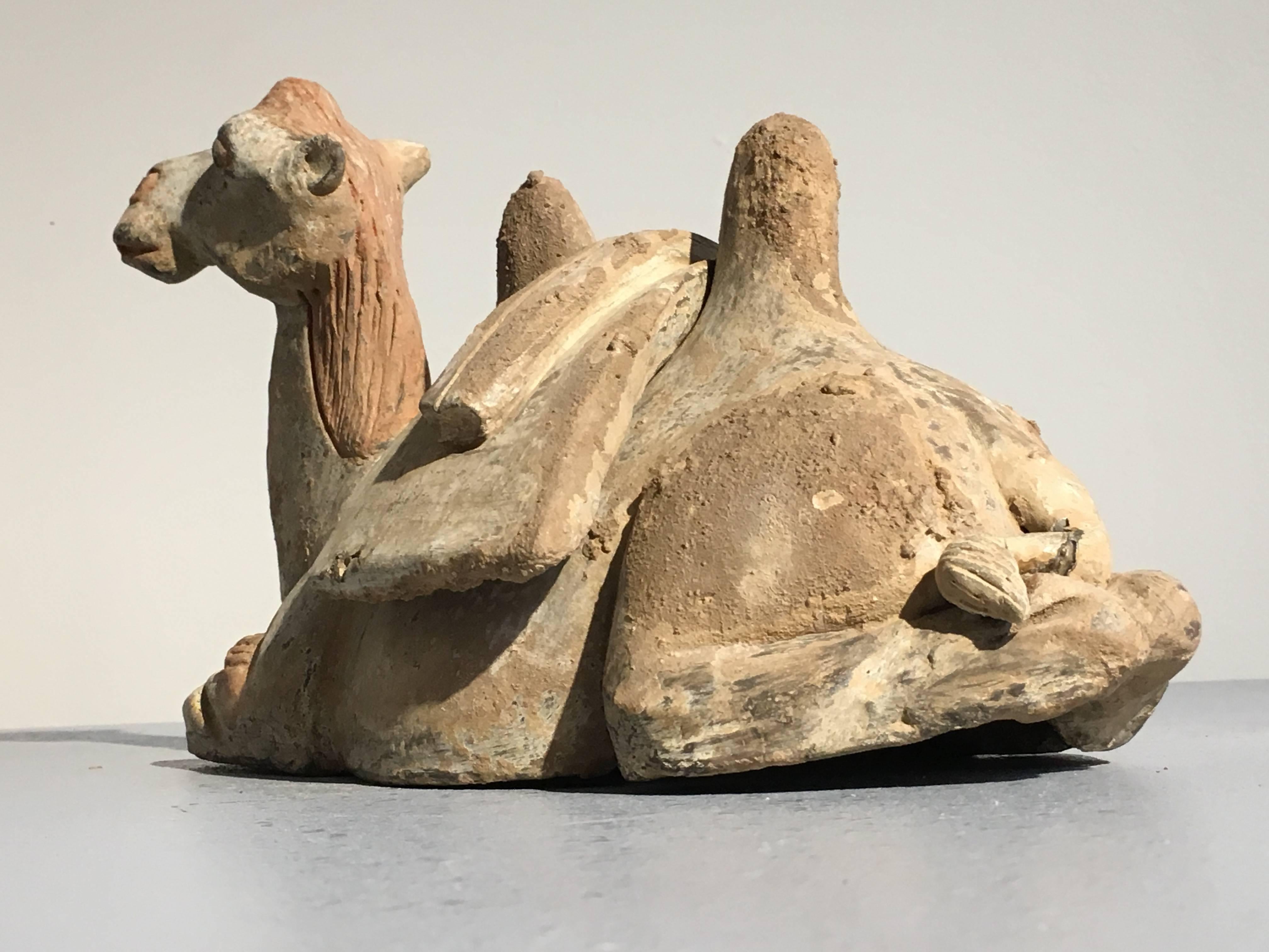Tang Dynasty Pottery Model of a Recumbent Camel with Removable Saddle 1