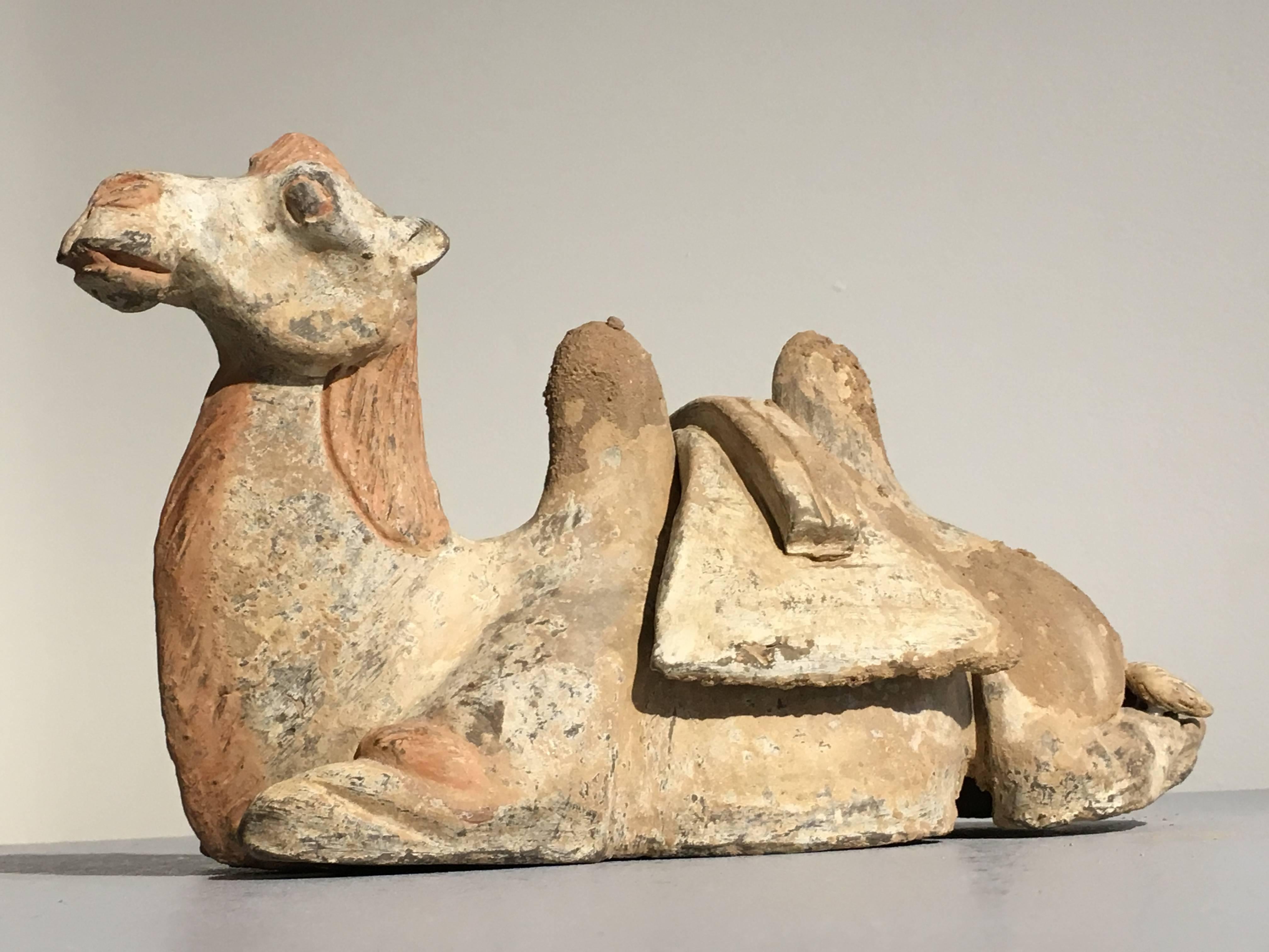 A painted pottery figure of a seated camel with a removable saddle.

The camel rests comfortably and serenely on bended legs, head held upright, with soulful eyes that gaze out to the horizon. The humps stand full and the saddle laden down with