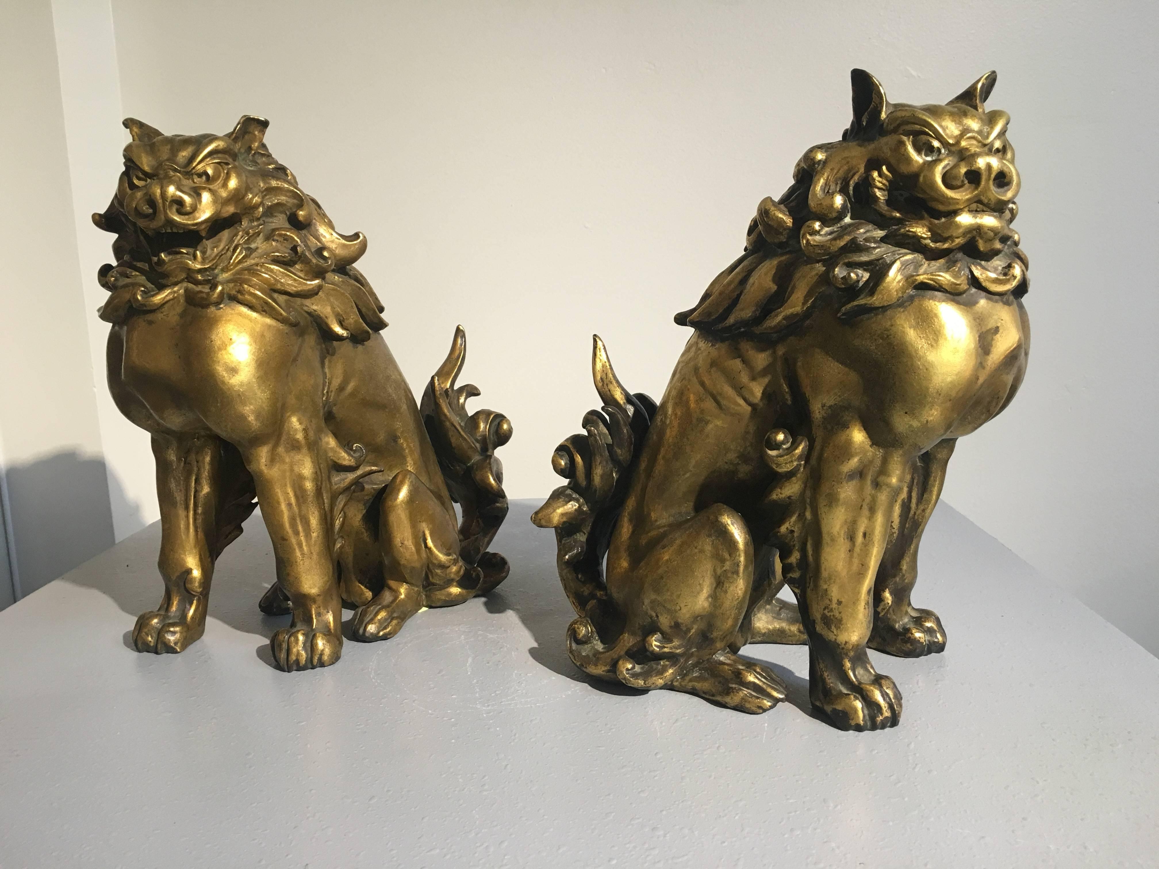 Paire d'étonnants komainu en bronze doré japonais réalisés par le célèbre sculpteur japonais Ishikawa Komei (1852-1913), période Meiji, Japon.

La paire est bien moulée, et le modèle est robuste. Ils sont représentés assis sur leurs hanches, avec