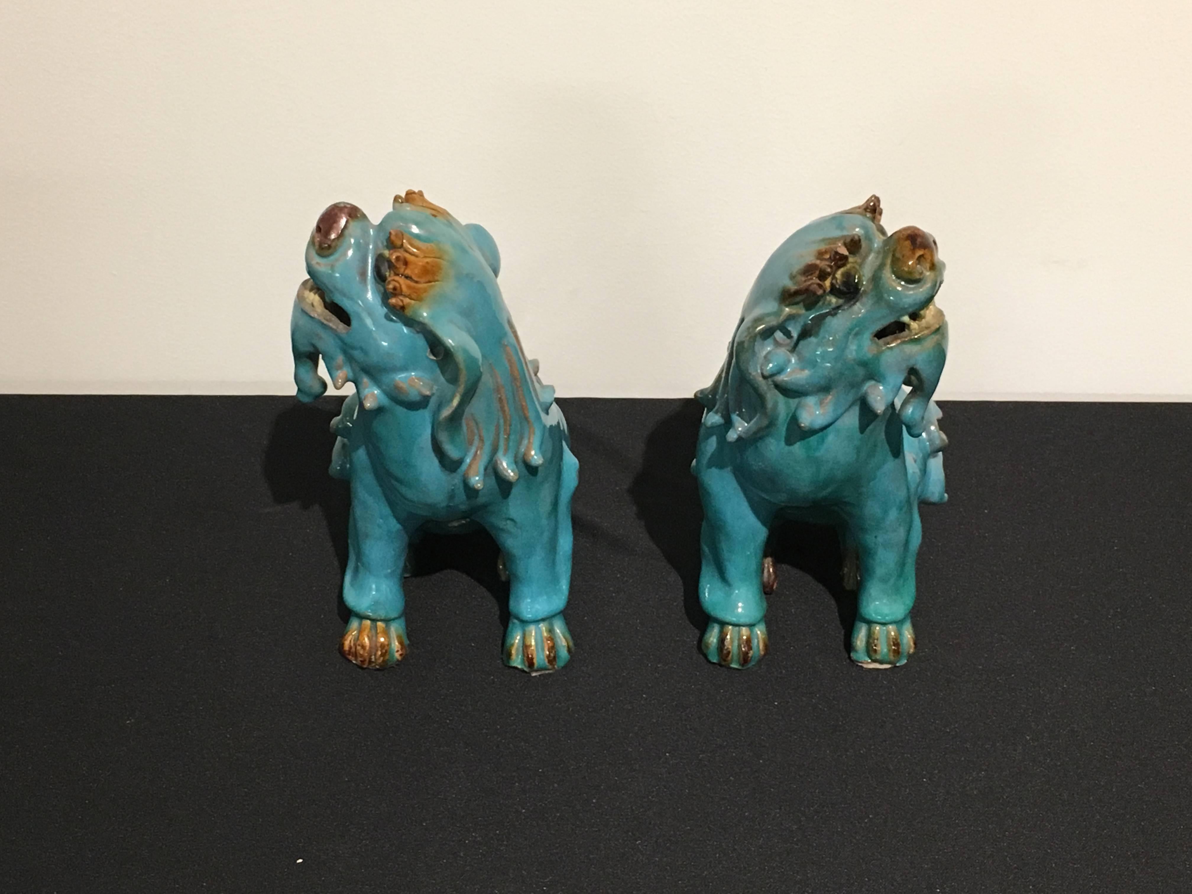 foo dogs for sale