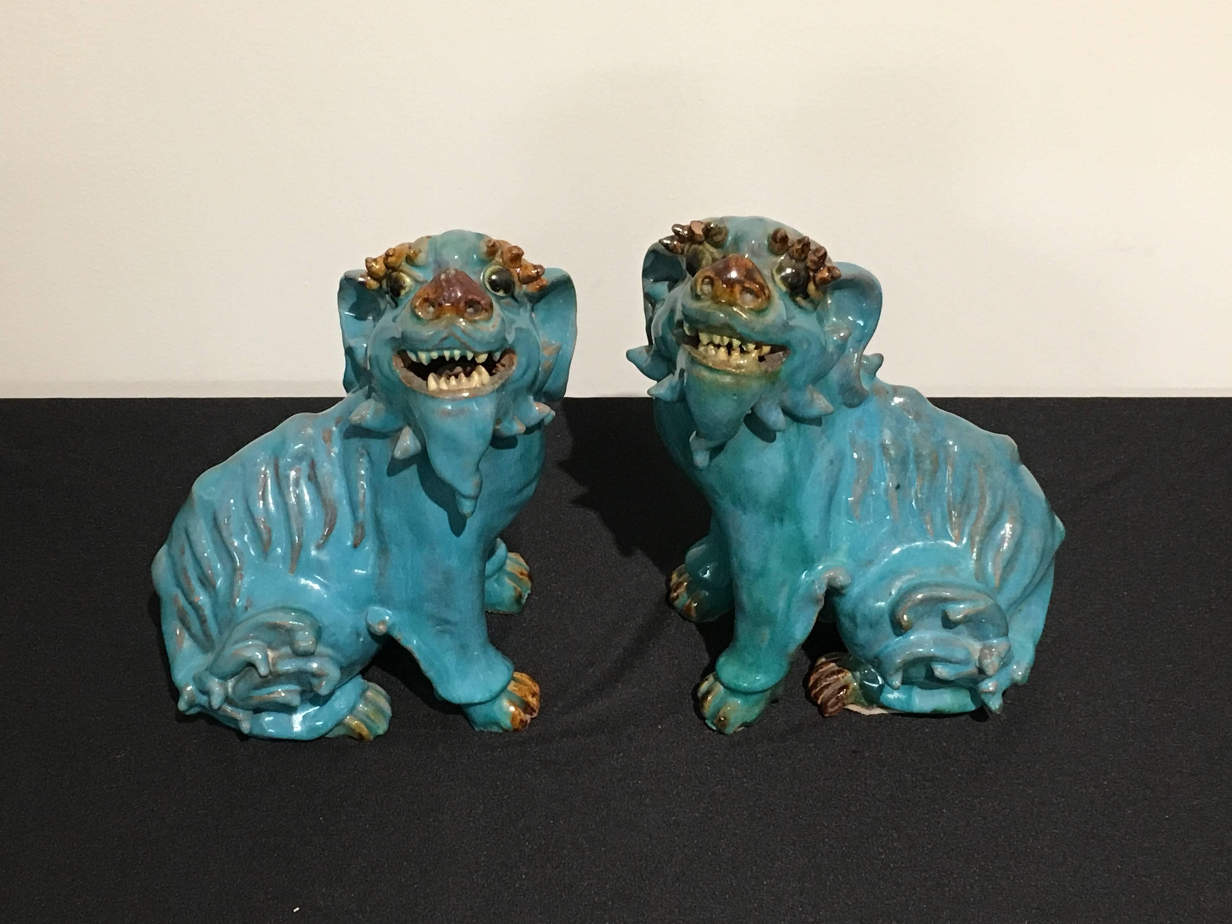 An absolutely delightful pair of Chinese turquoise glazed foo dogs, made for the export market.
Portrayed seated on their haunches, heads raised, mouths in a wide grin, as if expecting treats. They have wonderful molded eyelashes above bulging