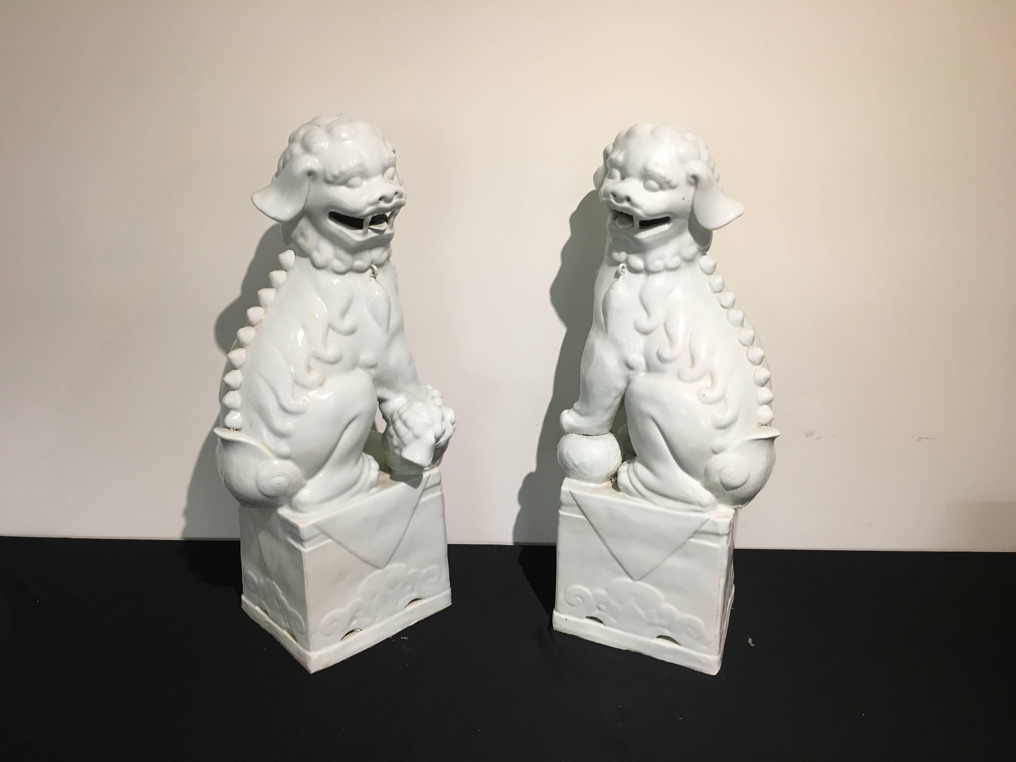 An unusually large pair of Chinese white glazed foo dogs or foo lions, made of the export market.
Guardians of palaces, temples, and homes, these noble animals are portrayed seated firmly on their haunches, upon raised plinths, ready and alert to