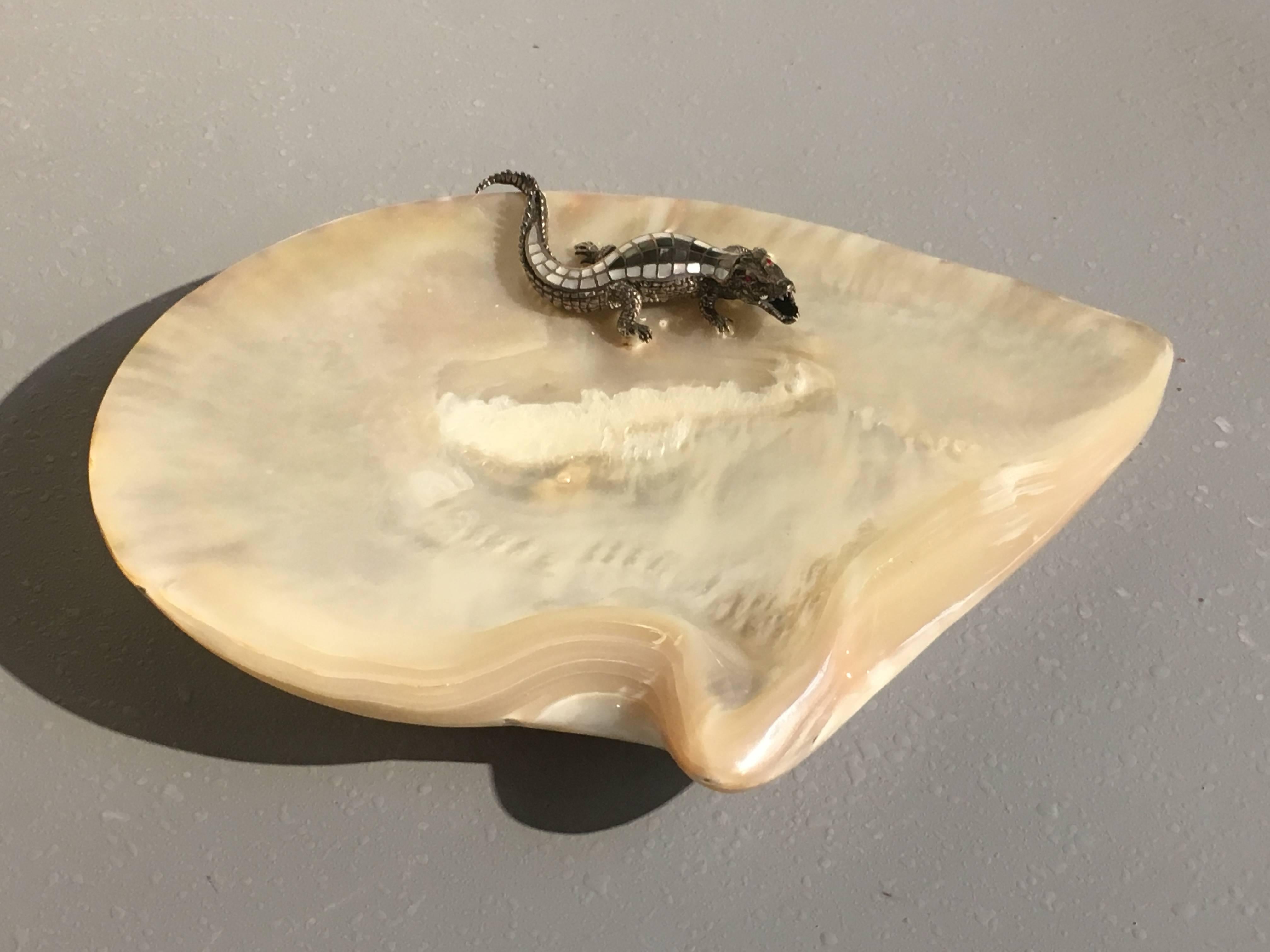 crocodile shell