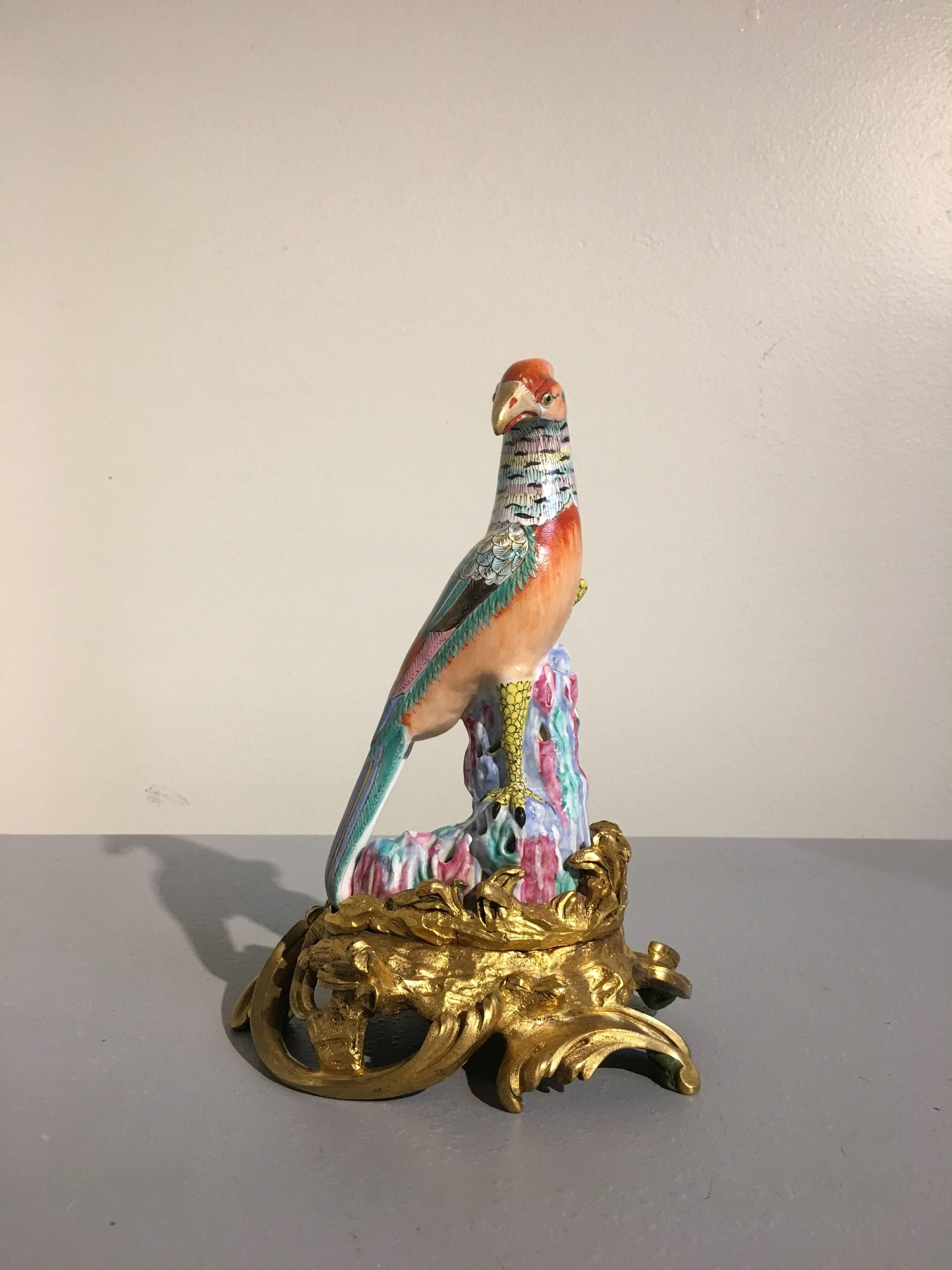 Magnifique modèle de faisan en porcelaine émaillée de la famille rose, monté sur un support en bronze doré. 
L'élégant oiseau est représenté perché sur un affleurement rocheux, une patte levée, la tête tournée. L'ensemble de la figure est peint