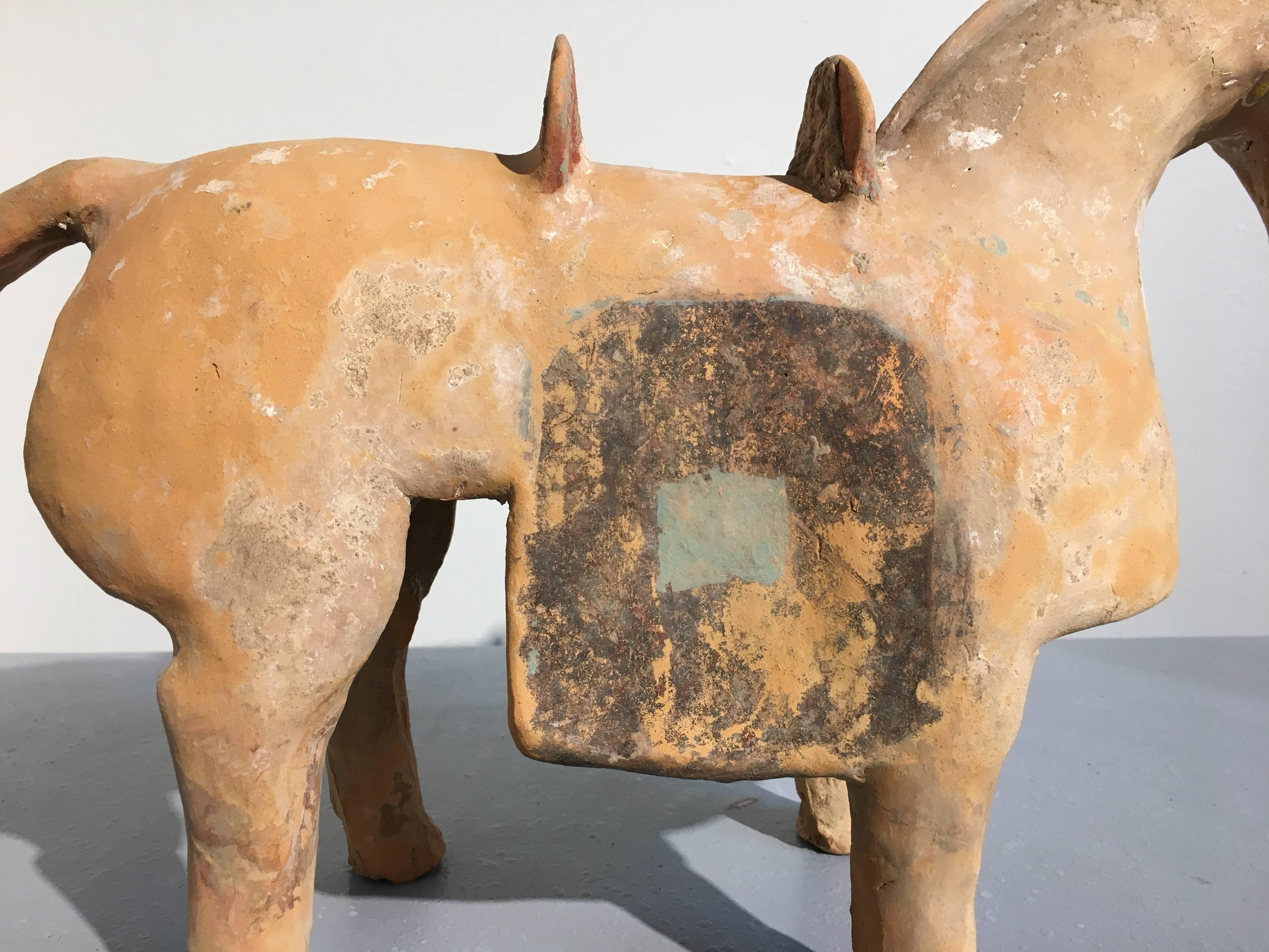 18th Century and Earlier Chinese Six Dynasties Pottery Model of an Armored Horse, 3rd-4th Century, China For Sale