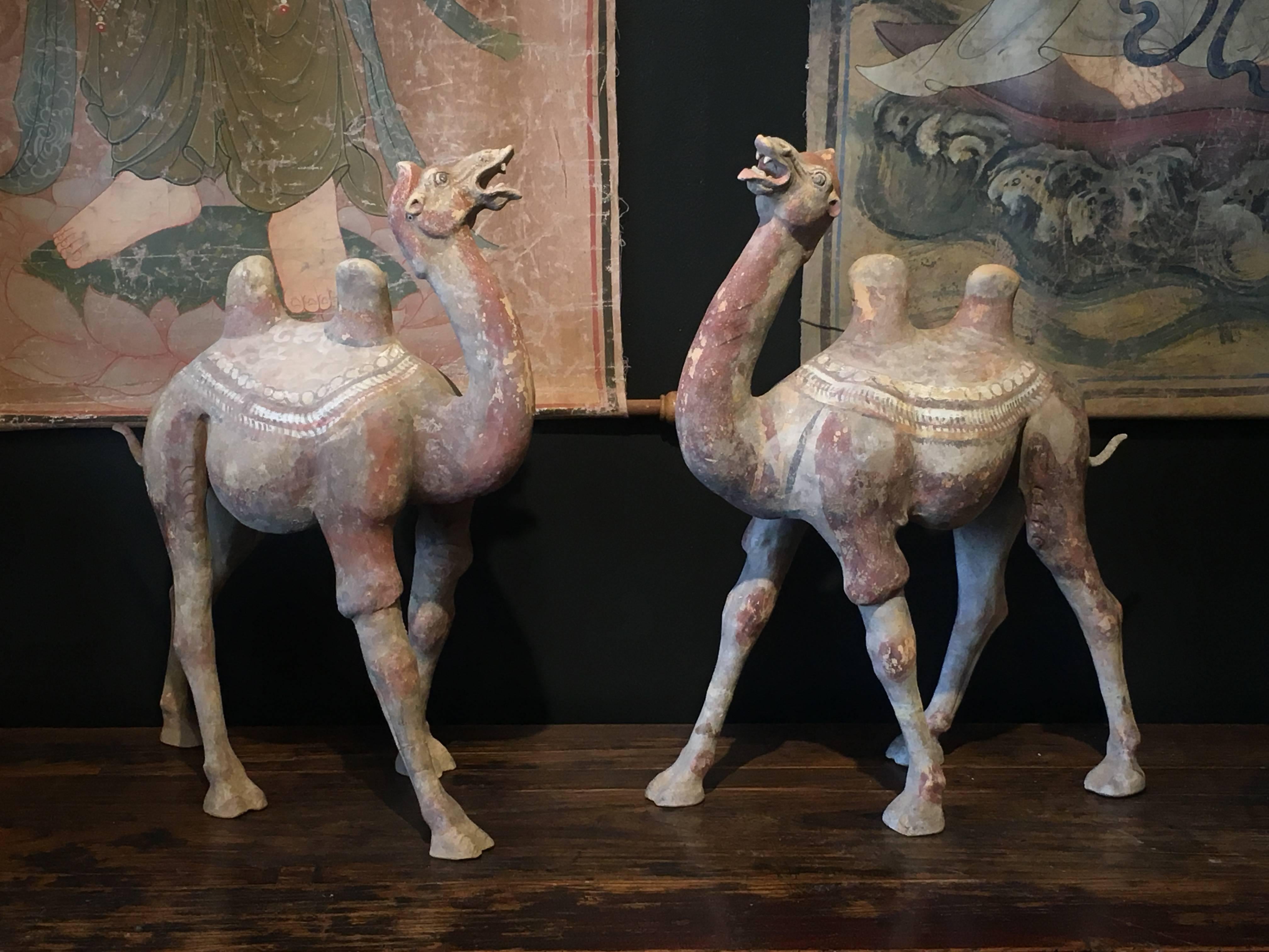 A stunning and impressive pair of large Tang Dynasty striding camels, TL tested by Oxford Authentication. 
The camels are portrayed in motion, caught mid-stride, with heads reared, mouths open in a triumphant bray. Their humps swaying in opposite