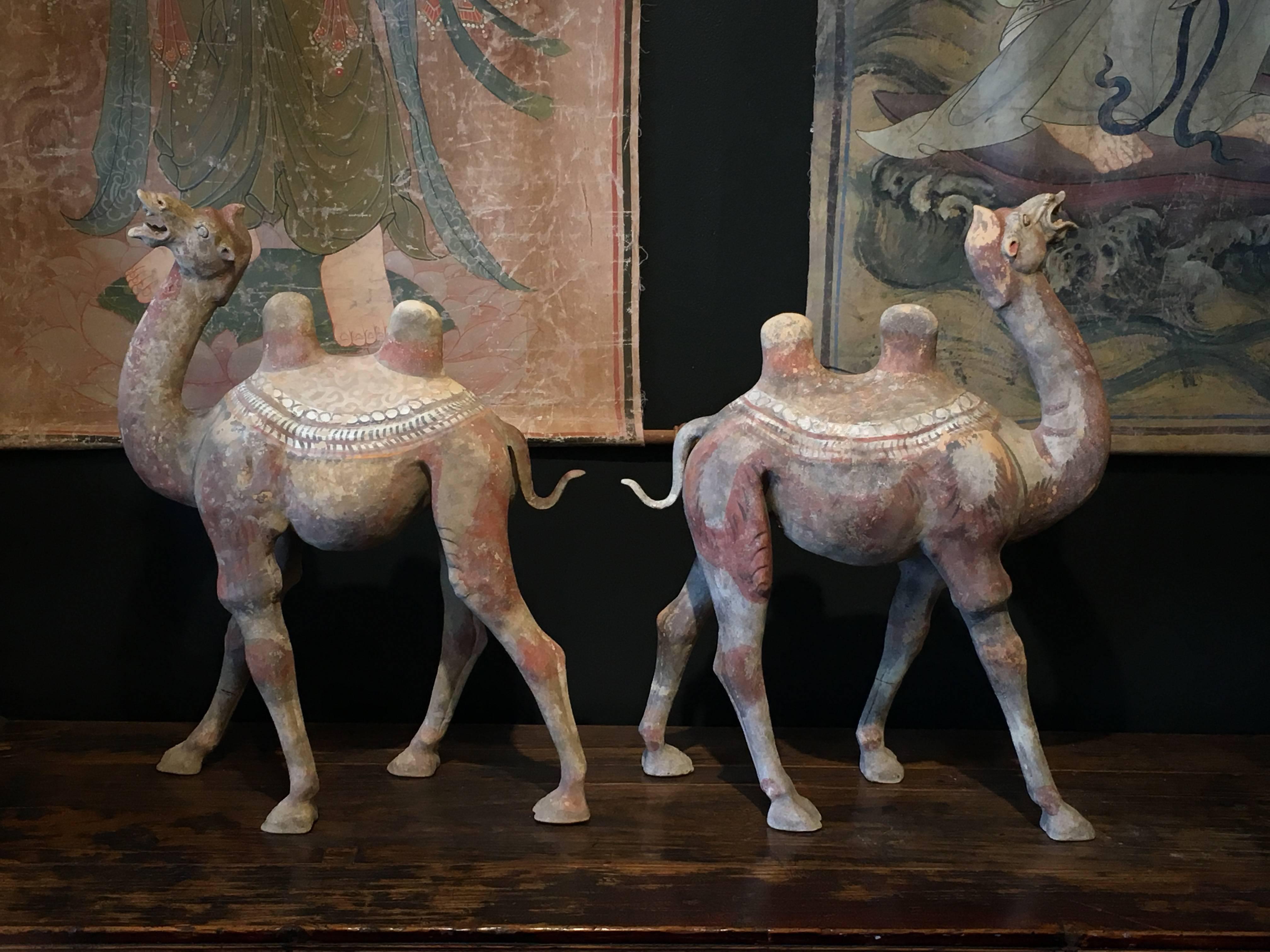 Fired Pair of Chinese Tang Dynasty Painted Pottery Striding Camels