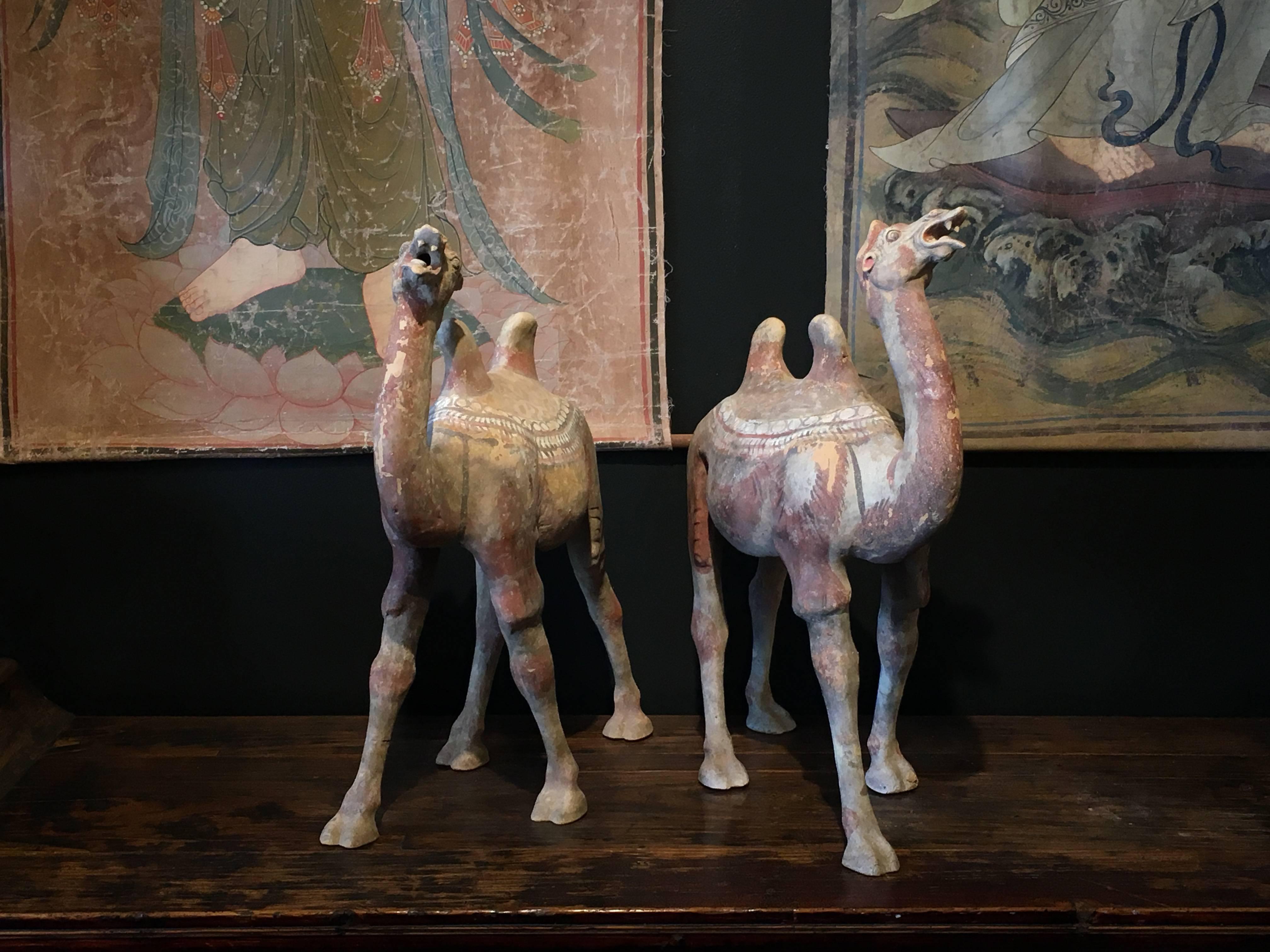 Pair of Chinese Tang Dynasty Painted Pottery Striding Camels In Good Condition In Austin, TX