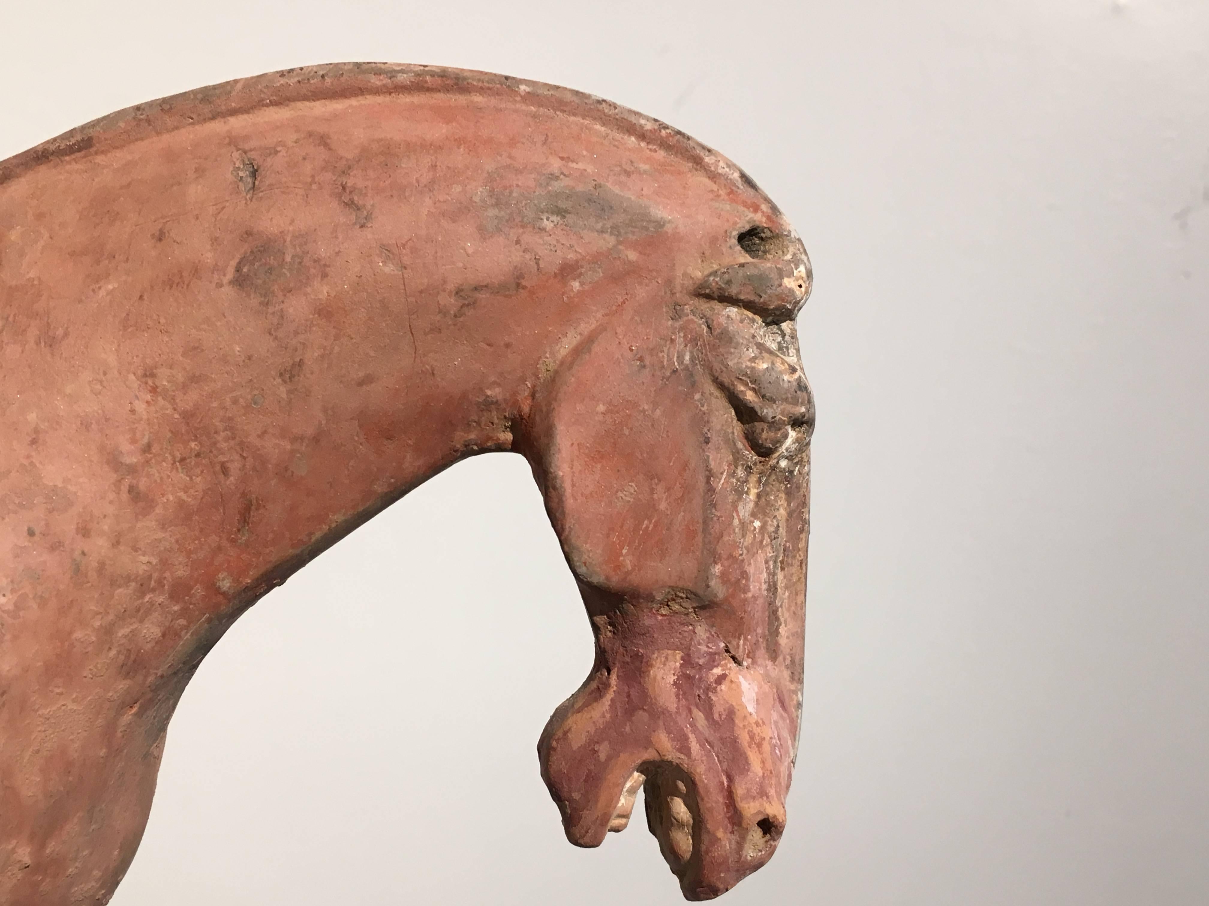 Caballo y jinete de cerámica pintada de la Tang Dynasty, TL Testado en venta 2