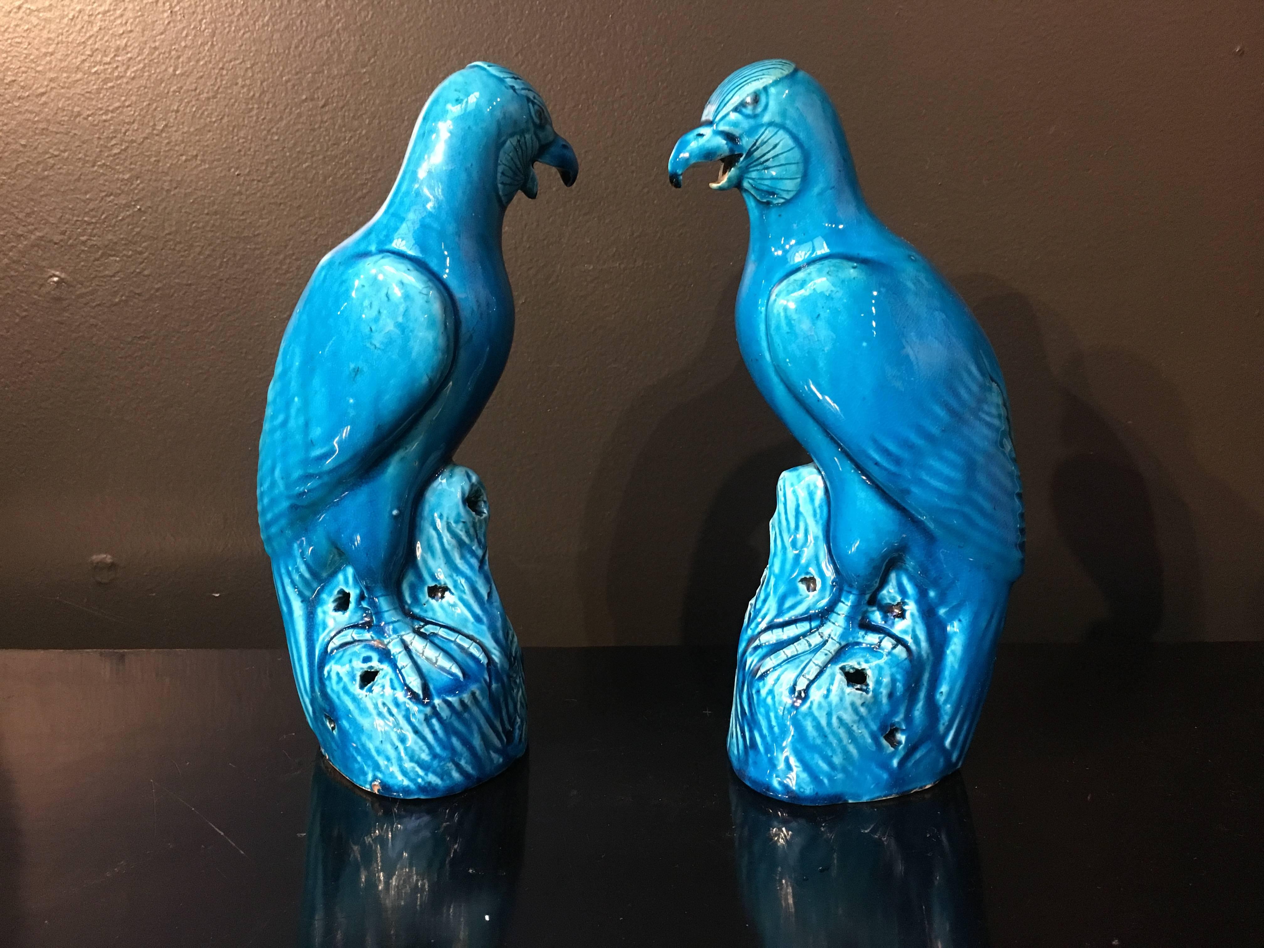 Porcelain Pair of Chinese Export Turquoise Glazed Hawks, Late 19th Century, China  For Sale