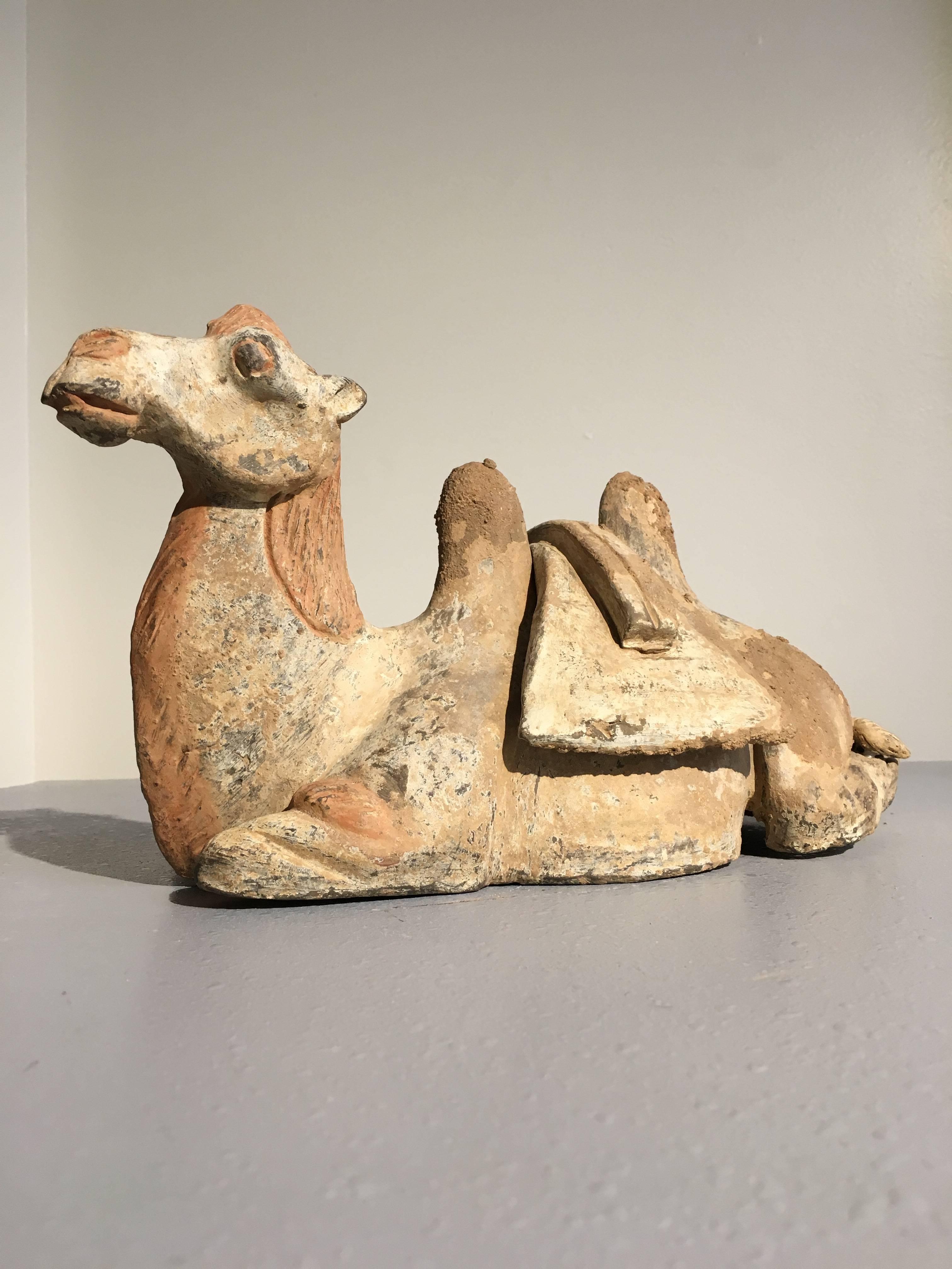 Chinese Tang Dynasty Pottery Model of a Recumbent Camel with Removable Saddle