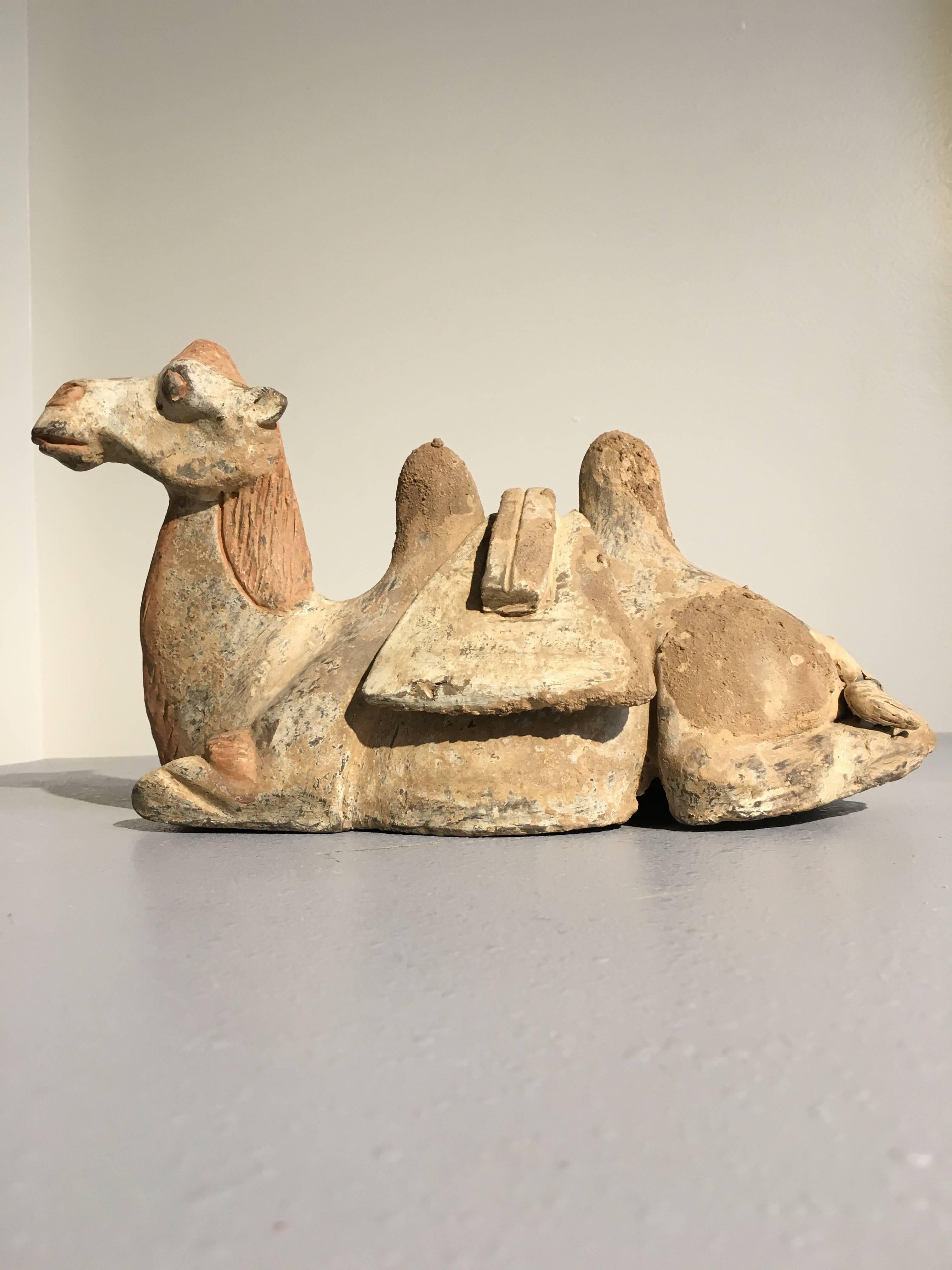 camel pottery