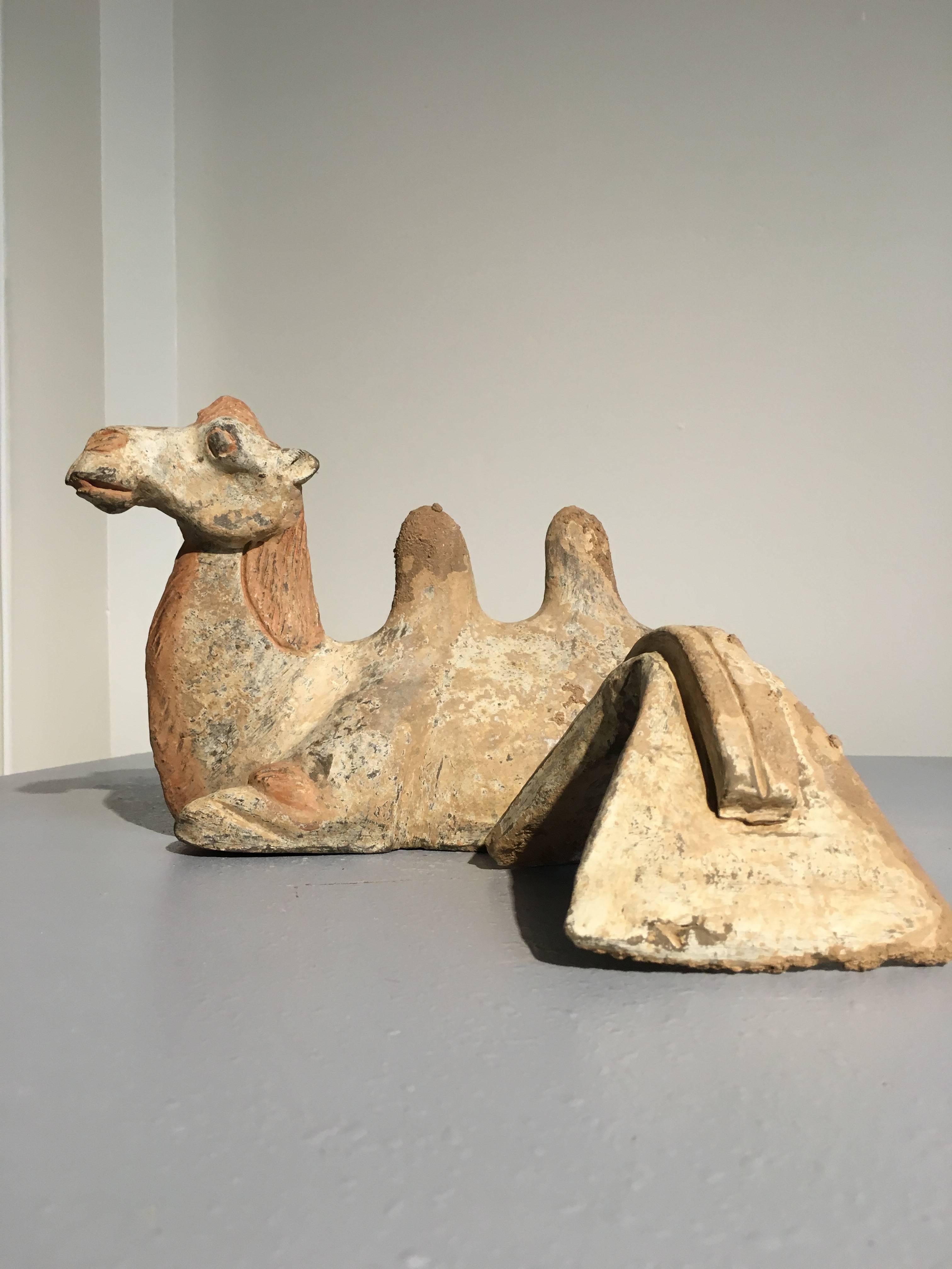Tang Dynasty Pottery Model of a Recumbent Camel with Removable Saddle In Good Condition In Austin, TX