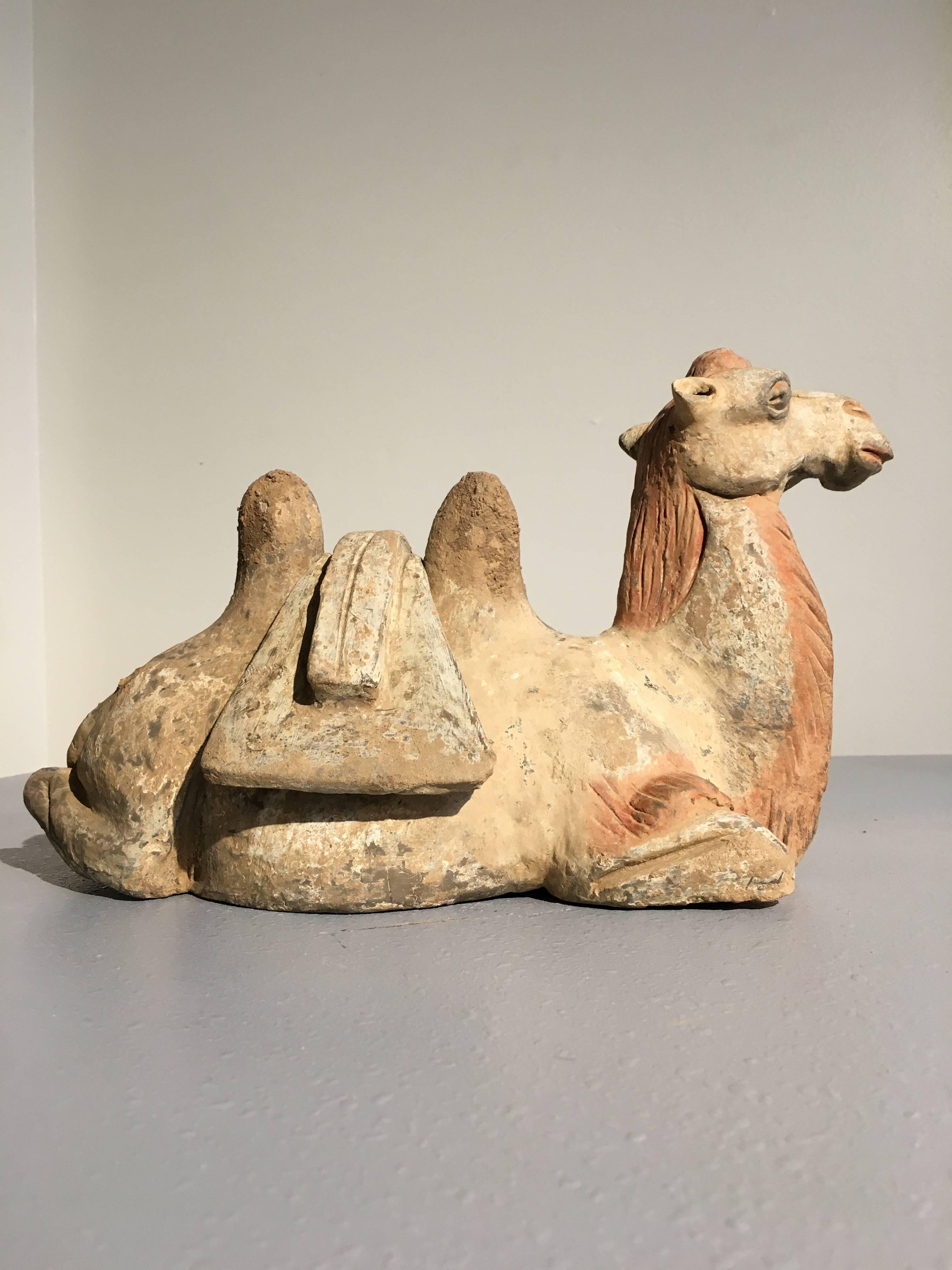 Fired Tang Dynasty Pottery Model of a Recumbent Camel with Removable Saddle