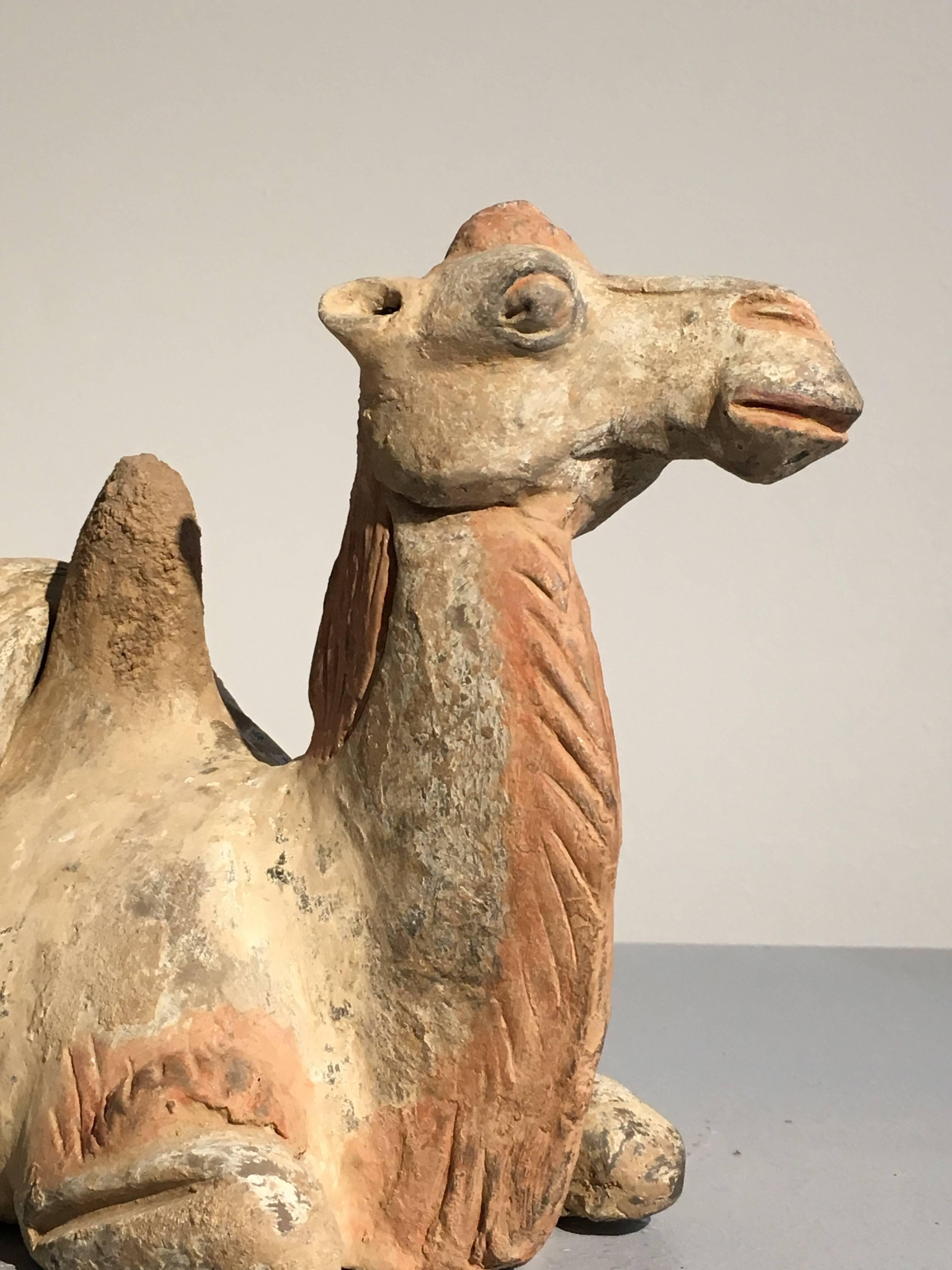 18th Century and Earlier Tang Dynasty Pottery Model of a Recumbent Camel with Removable Saddle