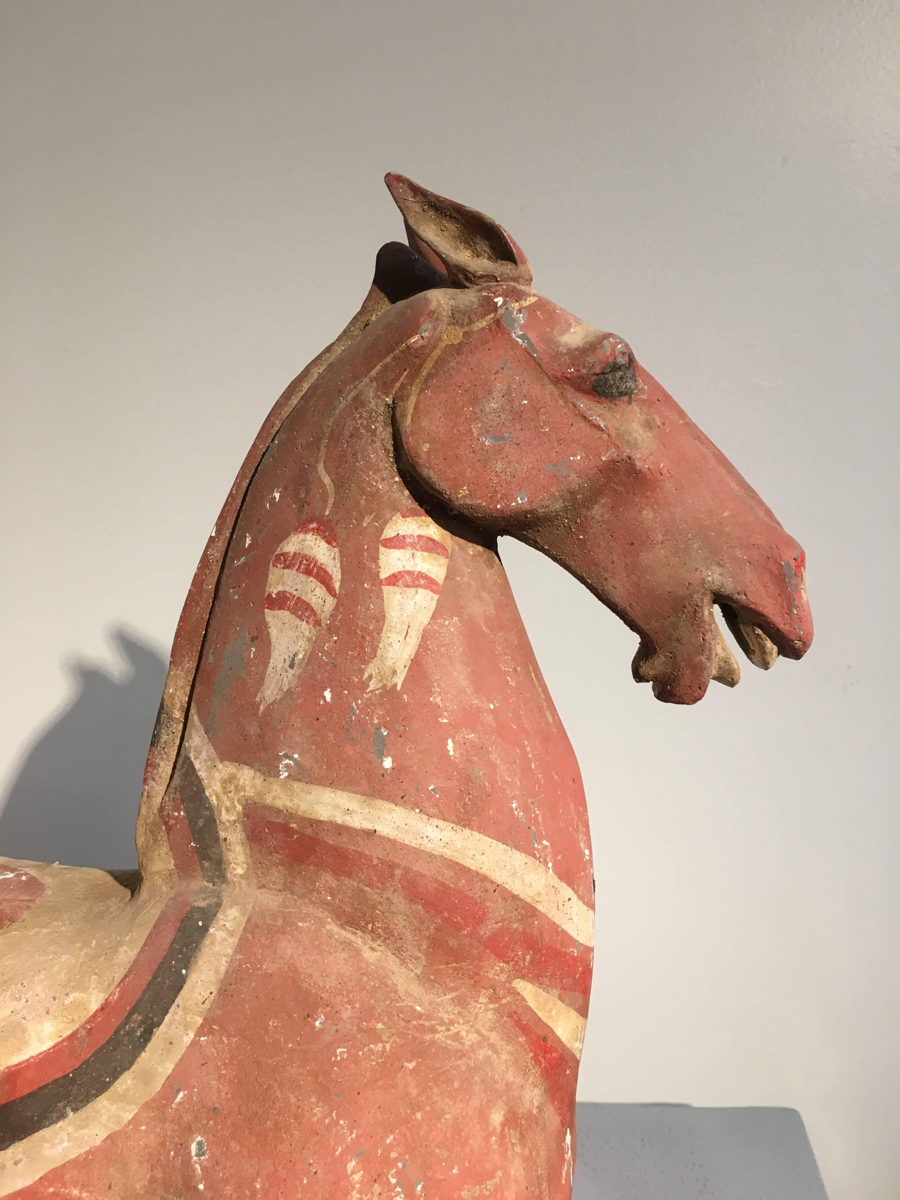 Large Han Dynasty Painted Pottery Model of a Horse In Good Condition In Austin, TX