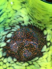 Emerald and Linden Yellow Macchia Pair by Dale Chihuly