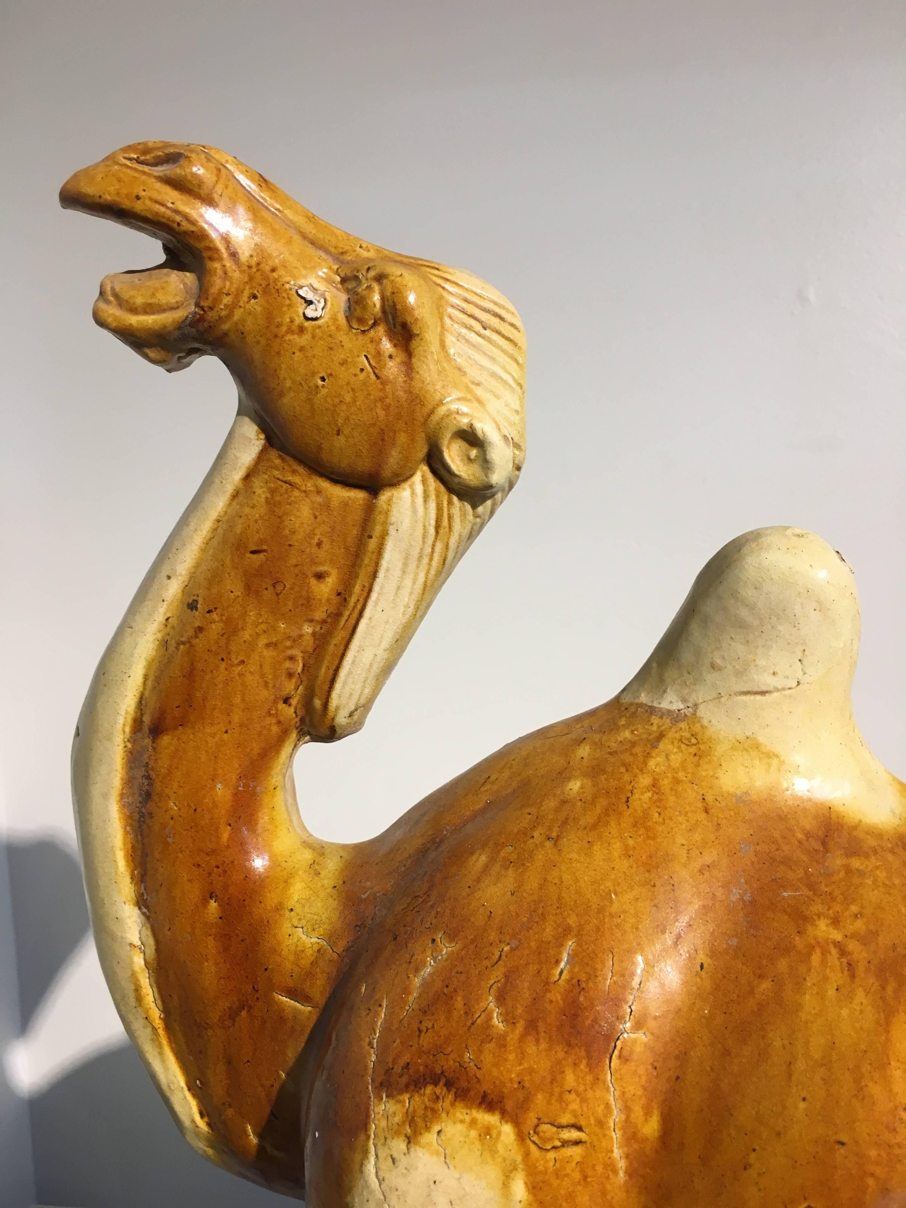 Tang Dynasty Sancai Glazed Pottery Camel, TL Tested In Good Condition For Sale In Austin, TX