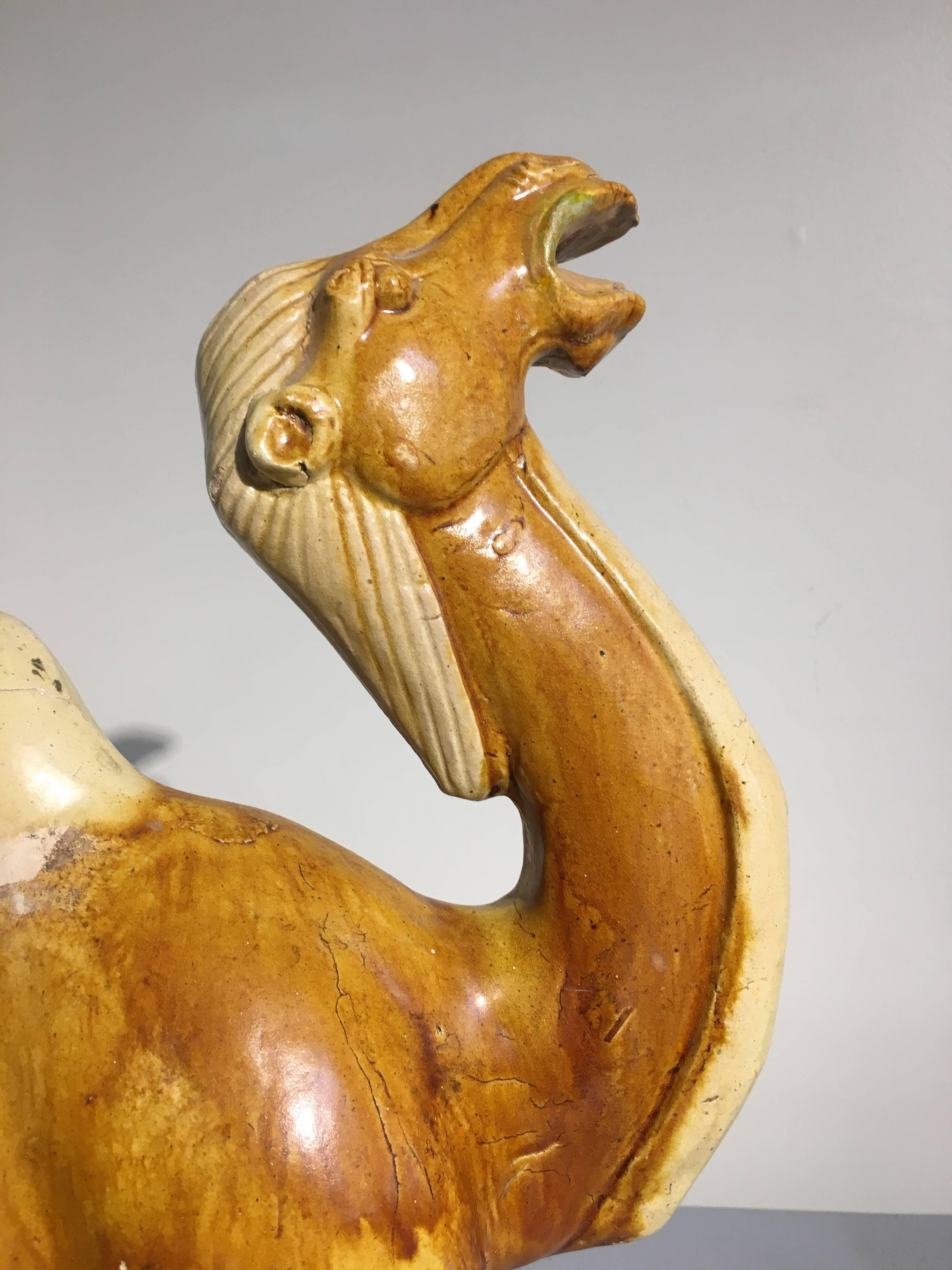 Poterie émaillée camel de la dynastie Tang à Sancai, testée TL Bon état - En vente à Austin, TX