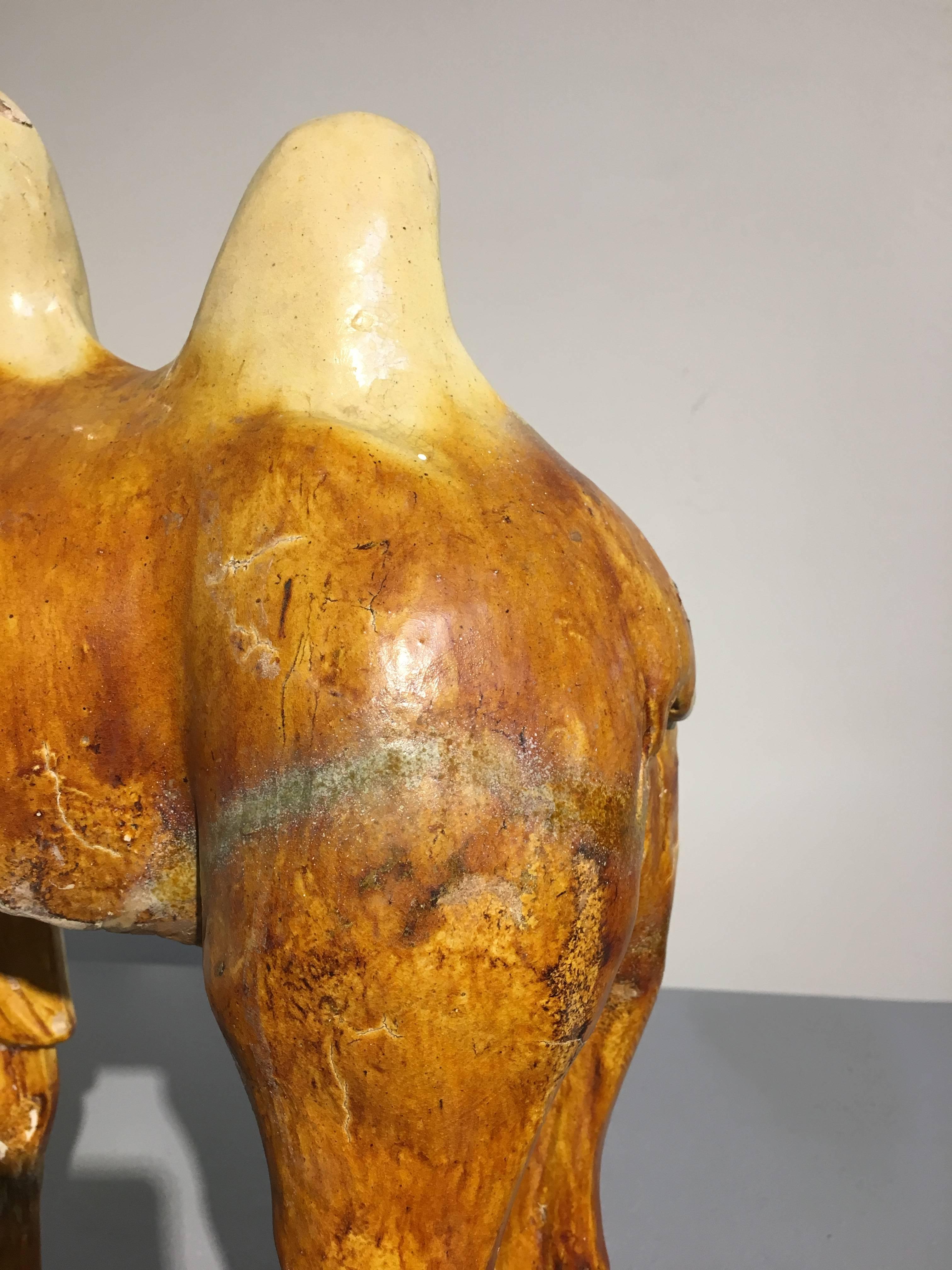 18th Century and Earlier Tang Dynasty Sancai Glazed Pottery Camel, TL Tested For Sale