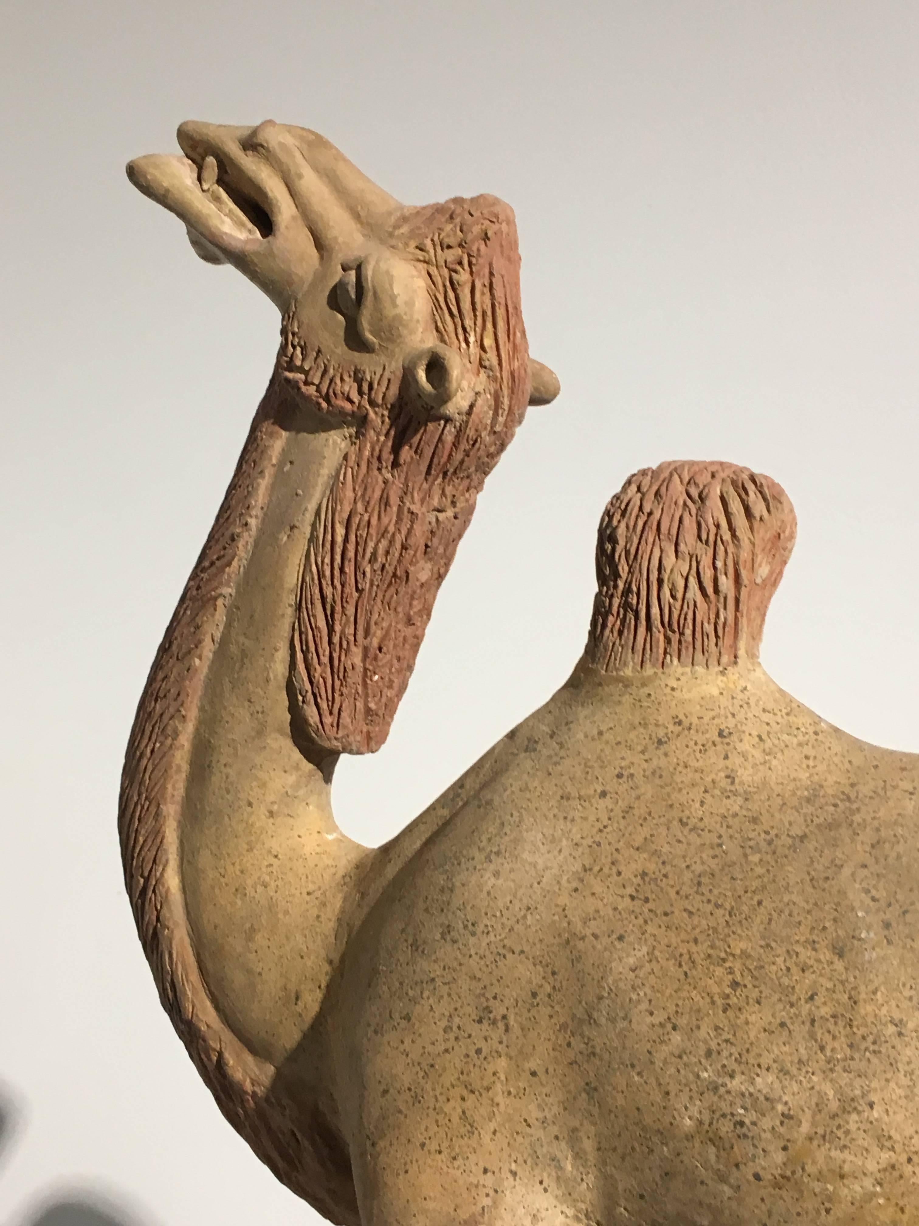 18th Century and Earlier Chinese Tang Dynasty Painted Pottery Model of a Camel For Sale