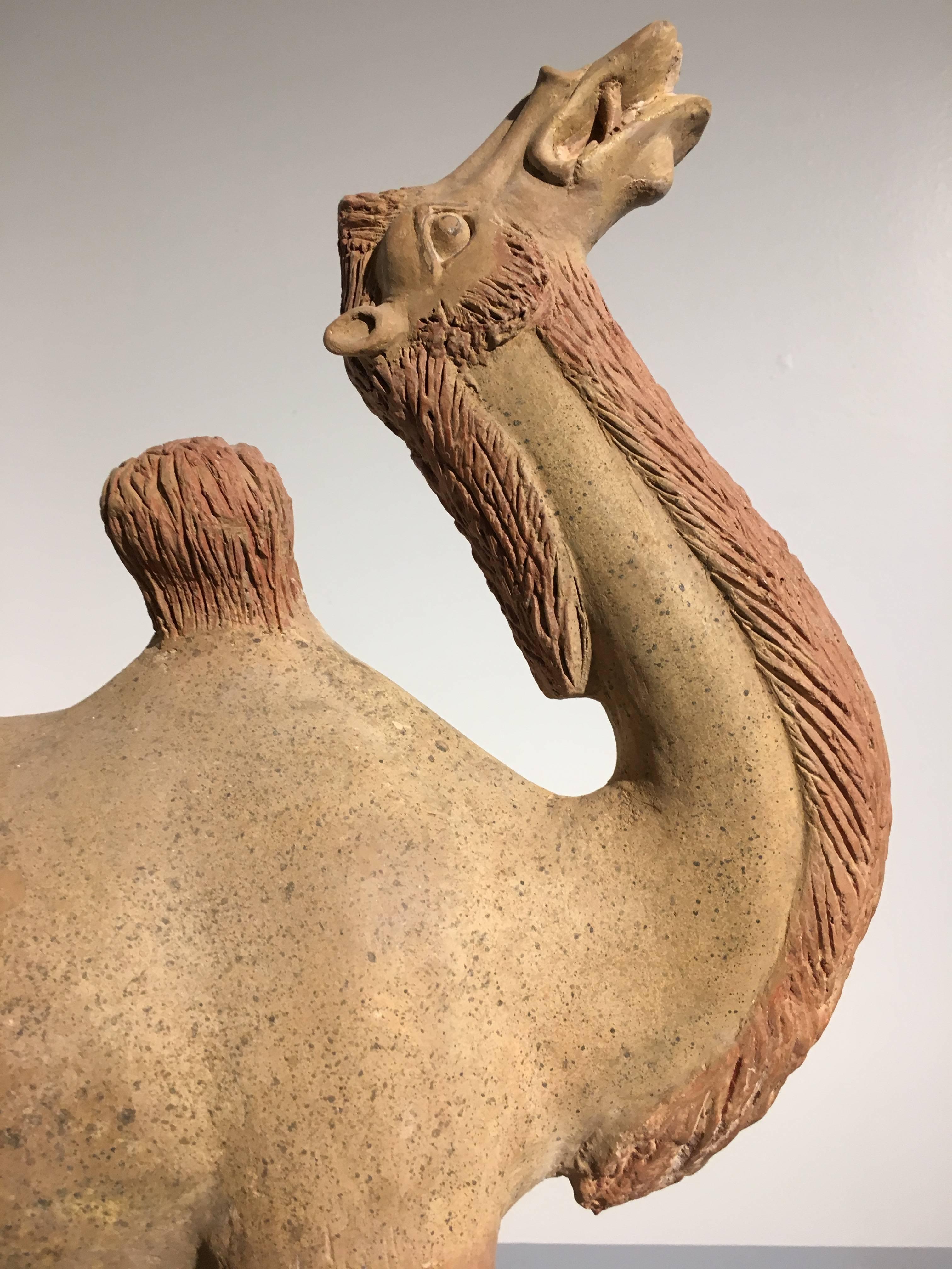 Chinese Tang Dynasty Painted Pottery Model of a Camel In Good Condition For Sale In Austin, TX