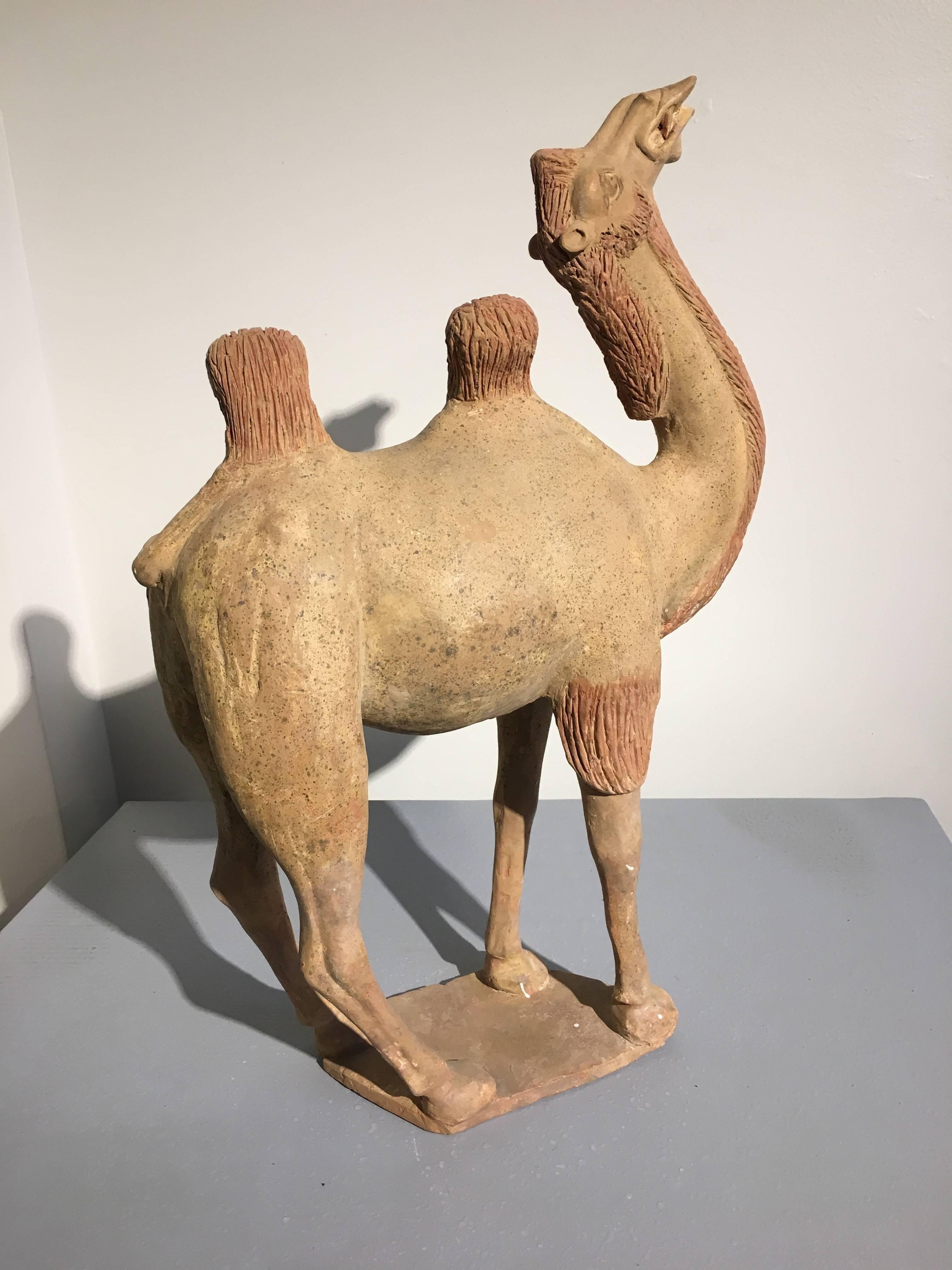 Modèle de camel en poterie peinte de la dynastie chinoise des Tang Bon état - En vente à Austin, TX