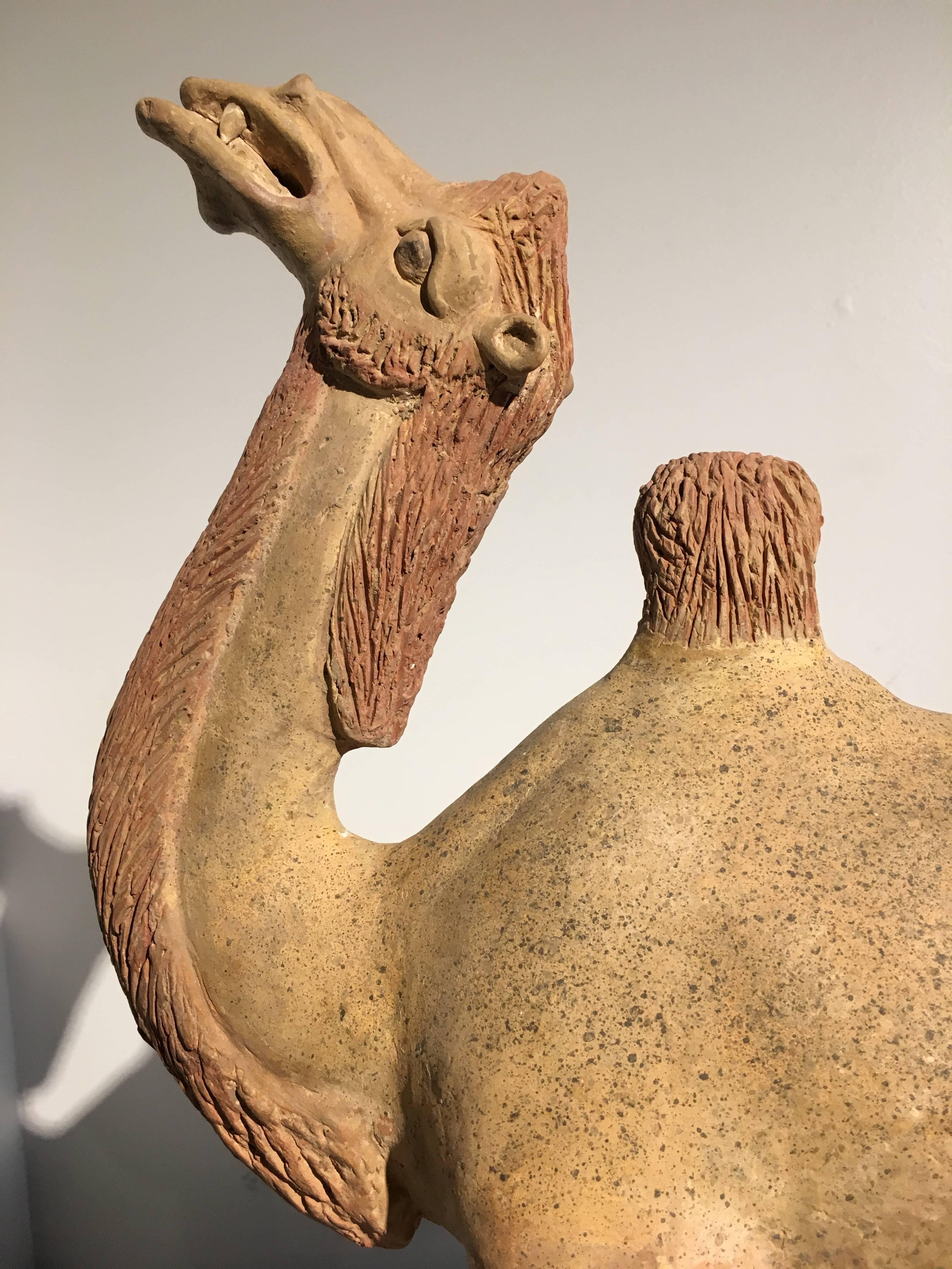 Fired Chinese Tang Dynasty Painted Pottery Model of a Camel For Sale