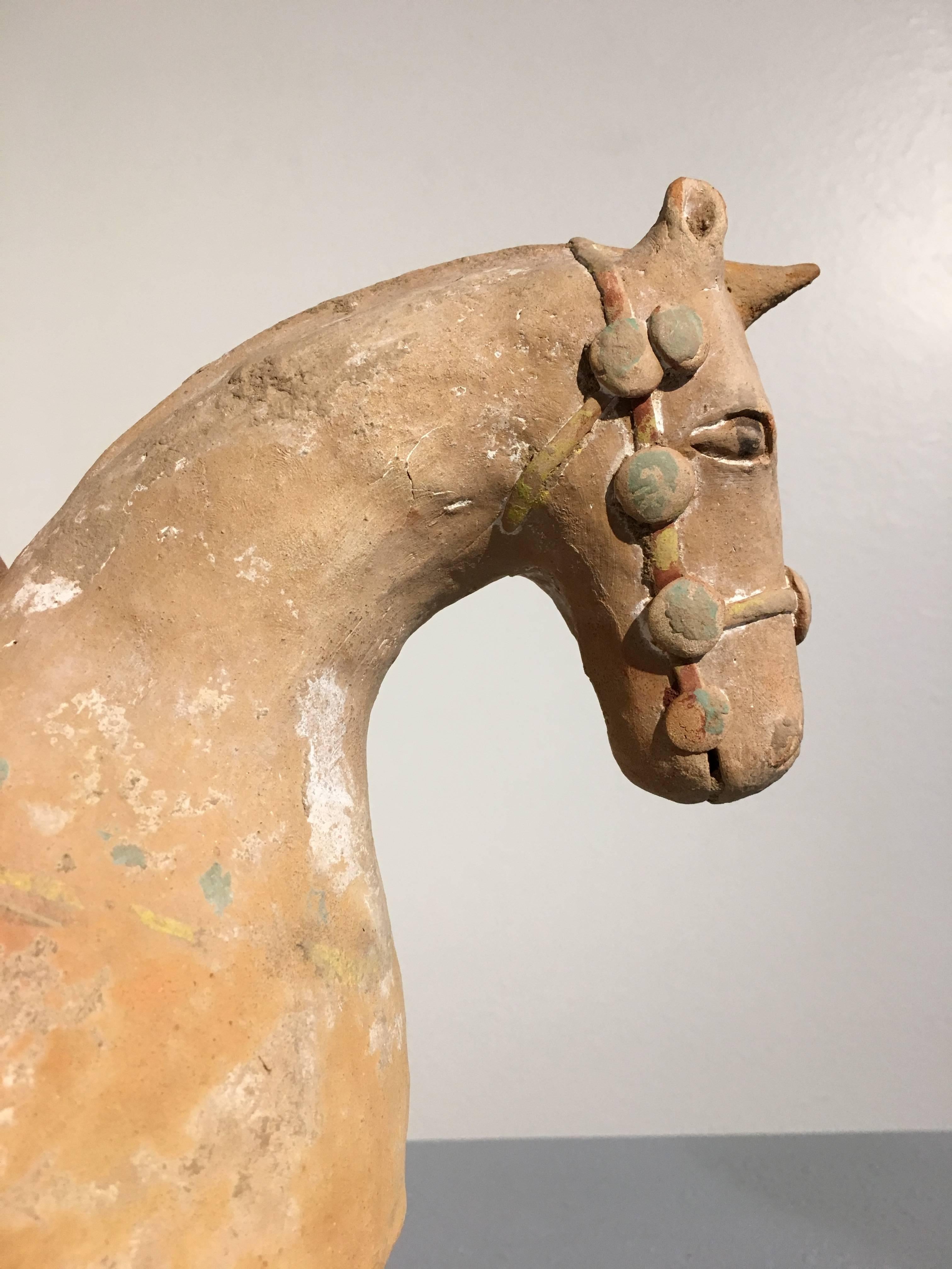 Chinesisches Keramikmodell eines mit Wappen bewaffneten Pferdes aus den sechs Dynastie-Jahren, 3.-4. Jahrhundert (Töpferwaren) im Angebot