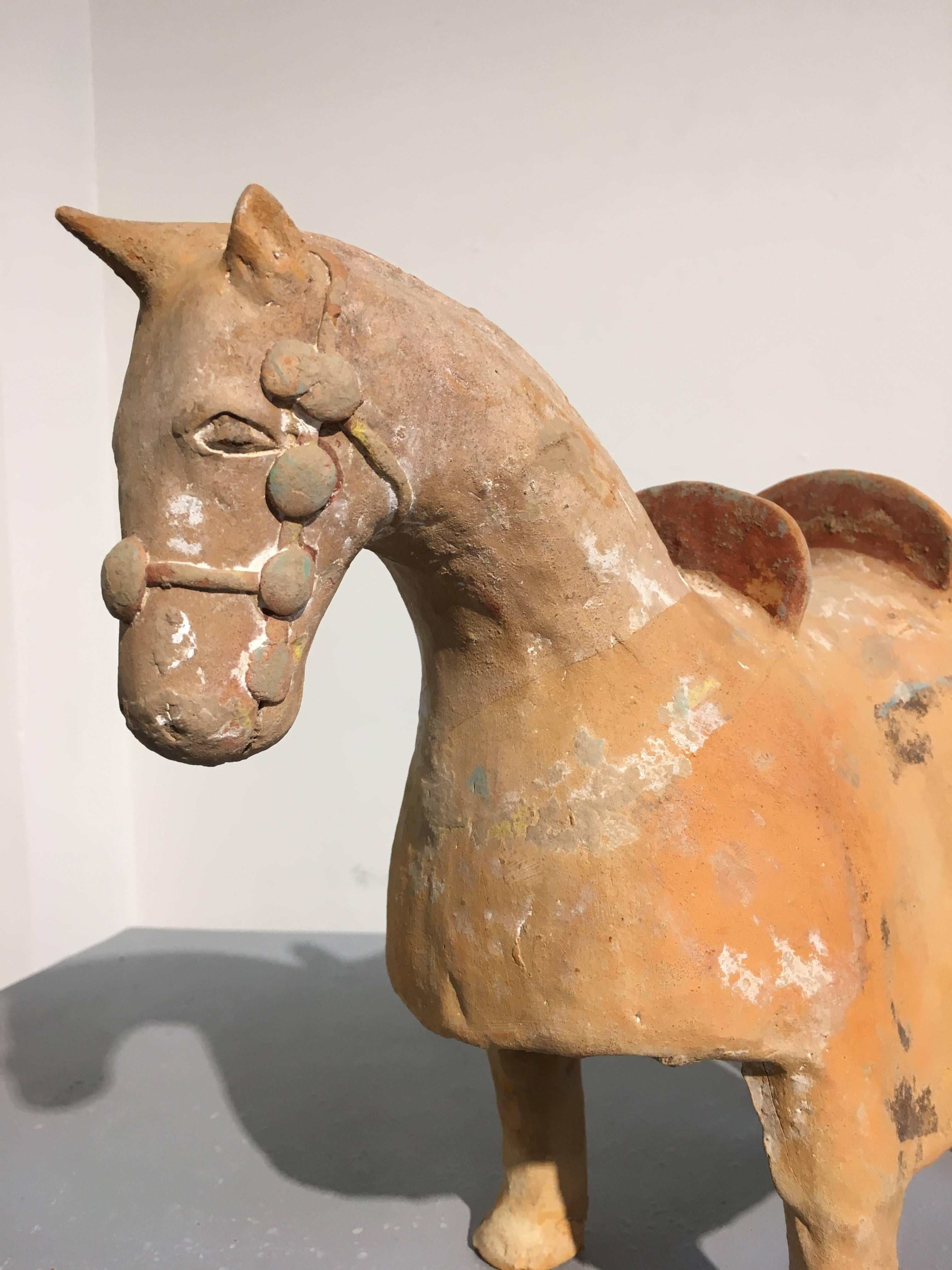 Chinese Six Dynasties Pottery Model of an Armored Horse, 3rd-4th Century, China In Good Condition For Sale In Austin, TX