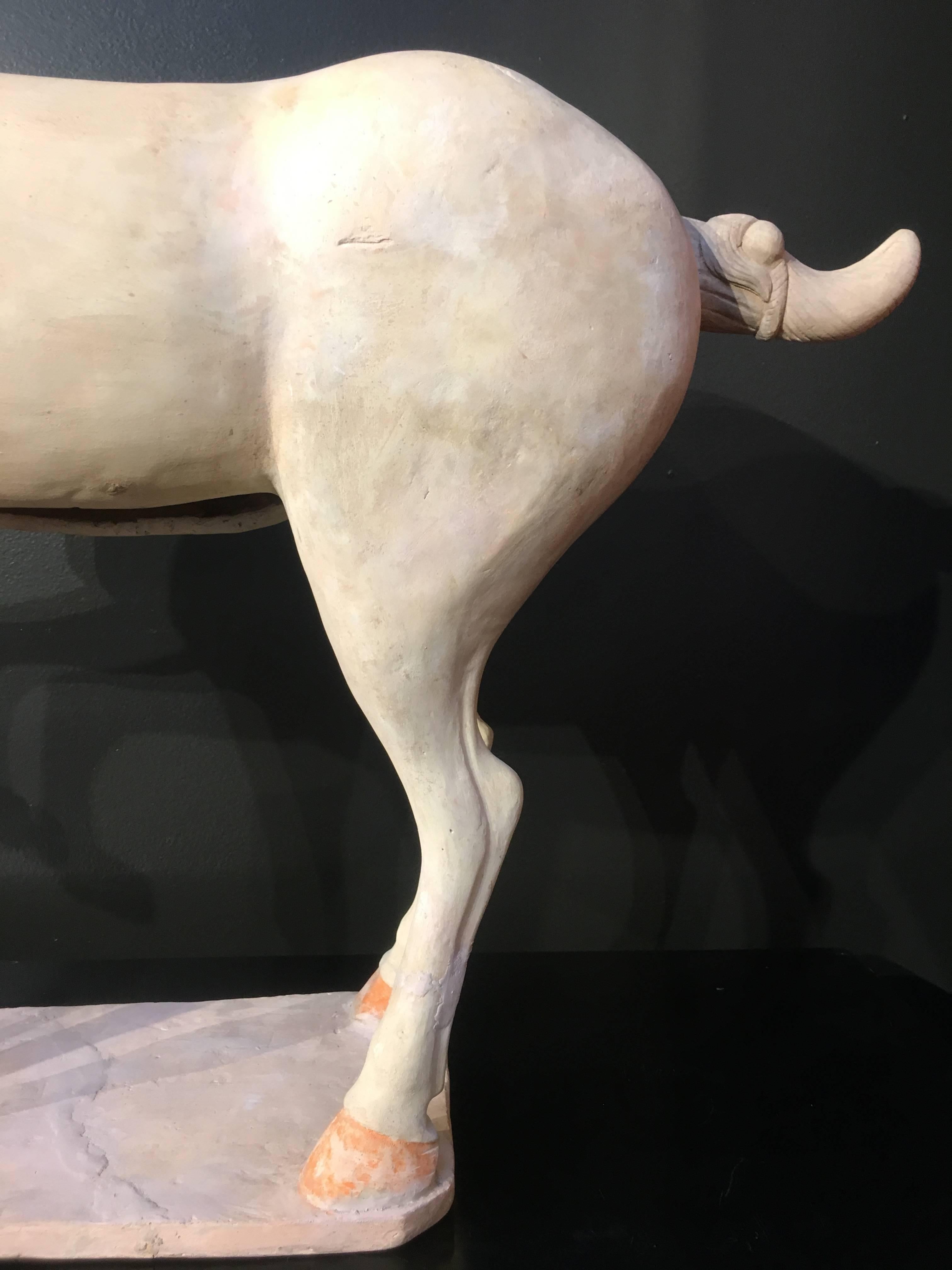 Grand modèle de poterie peinte du début de la dynastie Tang représentant un cheval cabré, testé TL en vente 1