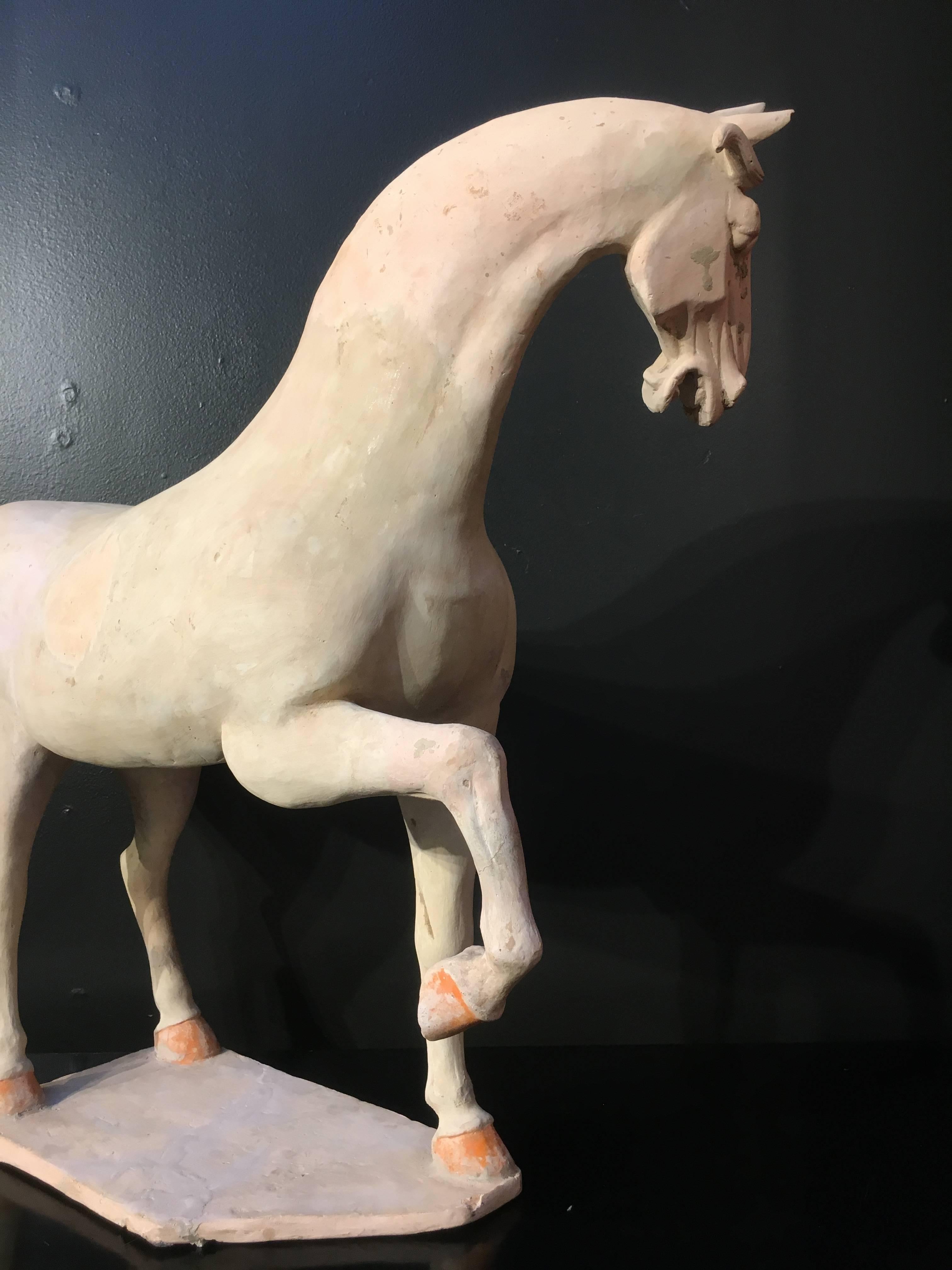 Grand modèle de poterie peinte du début de la dynastie Tang représentant un cheval cabré, testé TL en vente 2