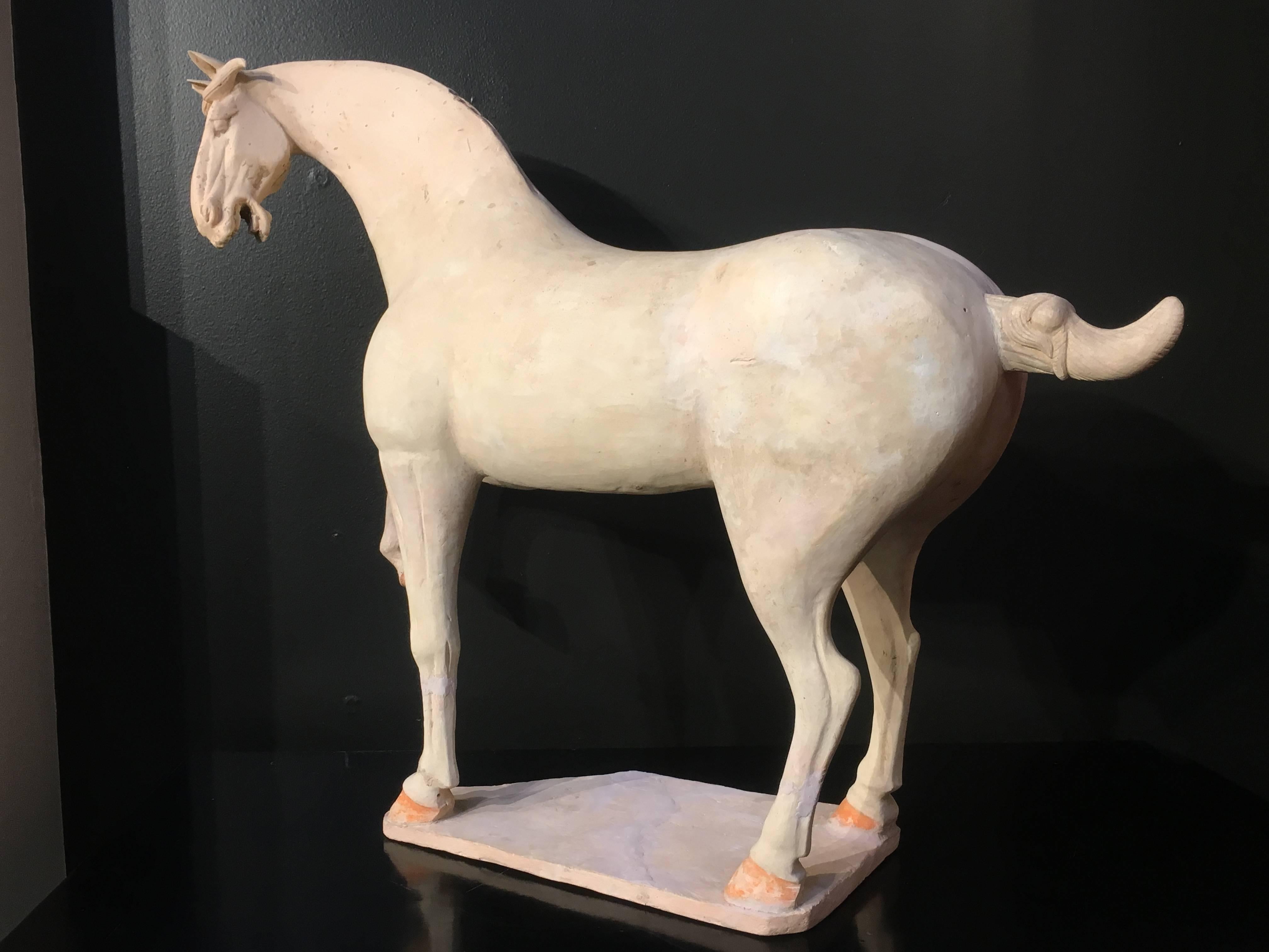 Chinois Grand modèle de poterie peinte du début de la dynastie Tang représentant un cheval cabré, testé TL en vente